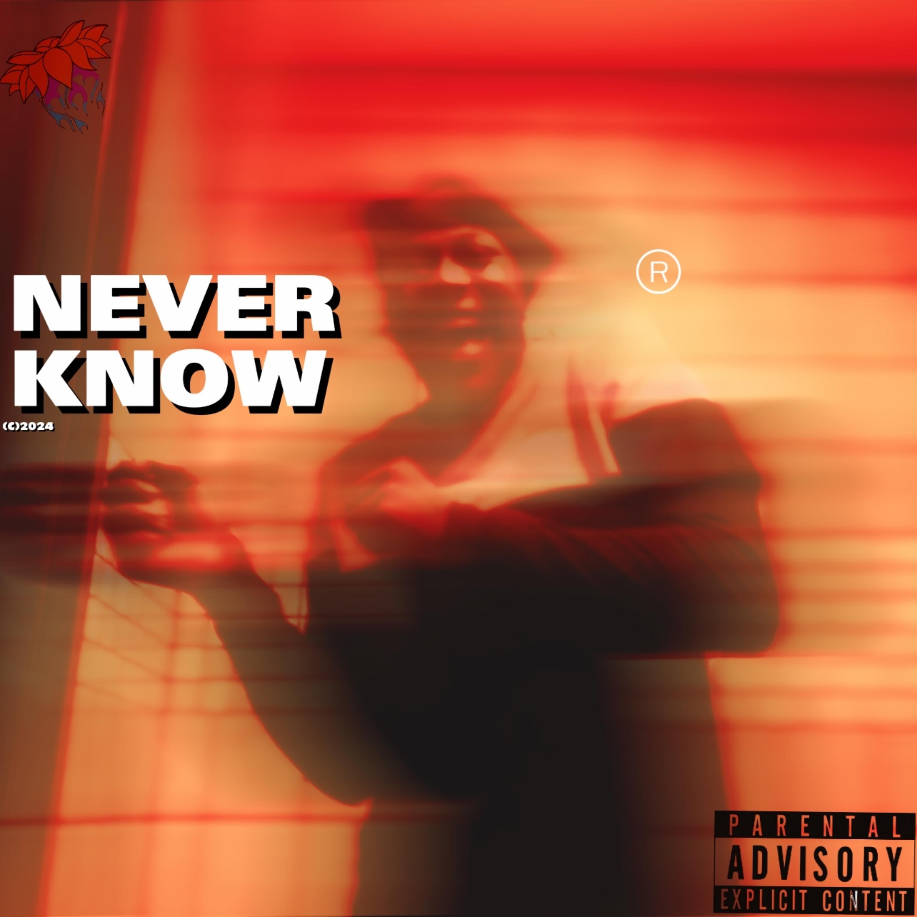 NEVER KNOW artwork