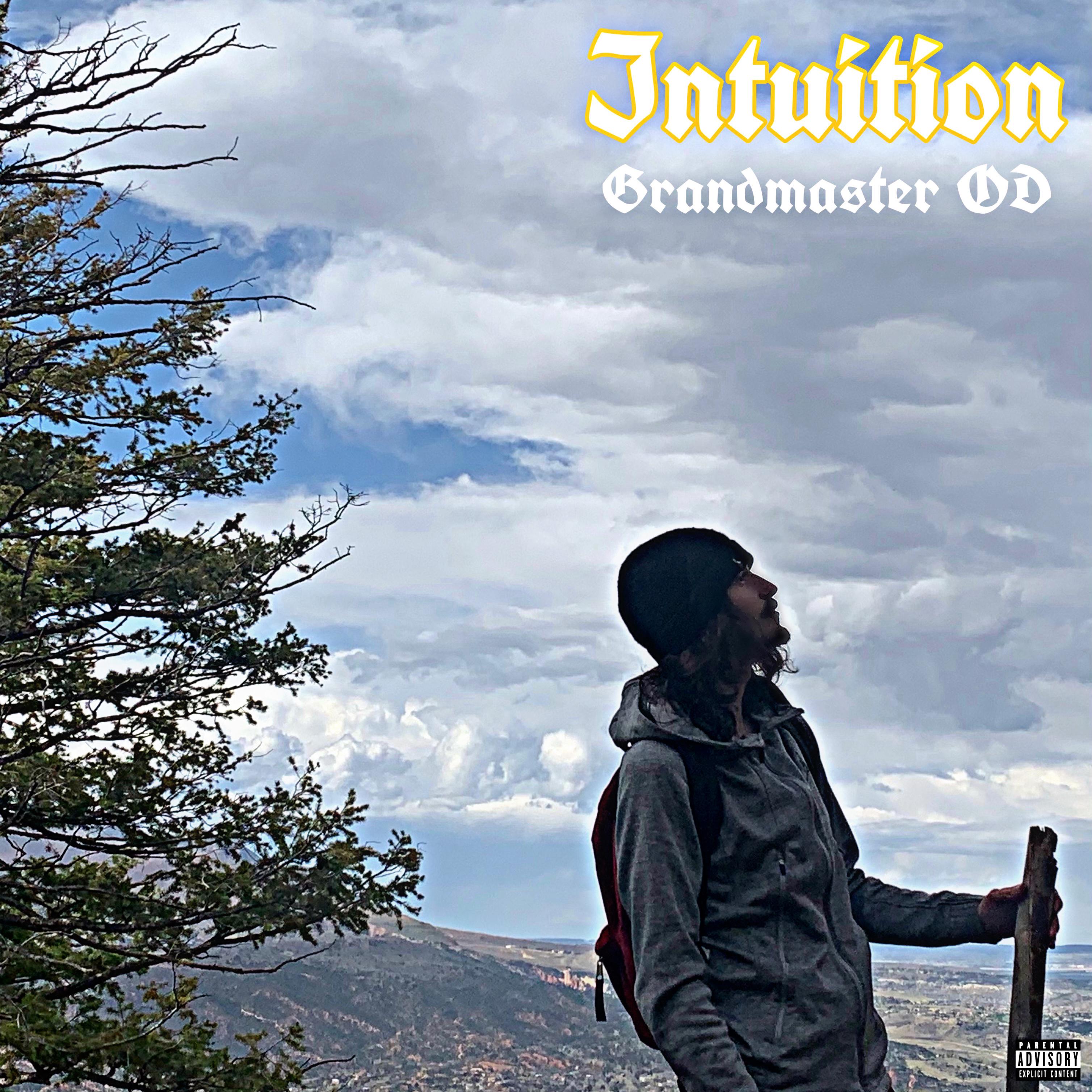 Intuition artwork