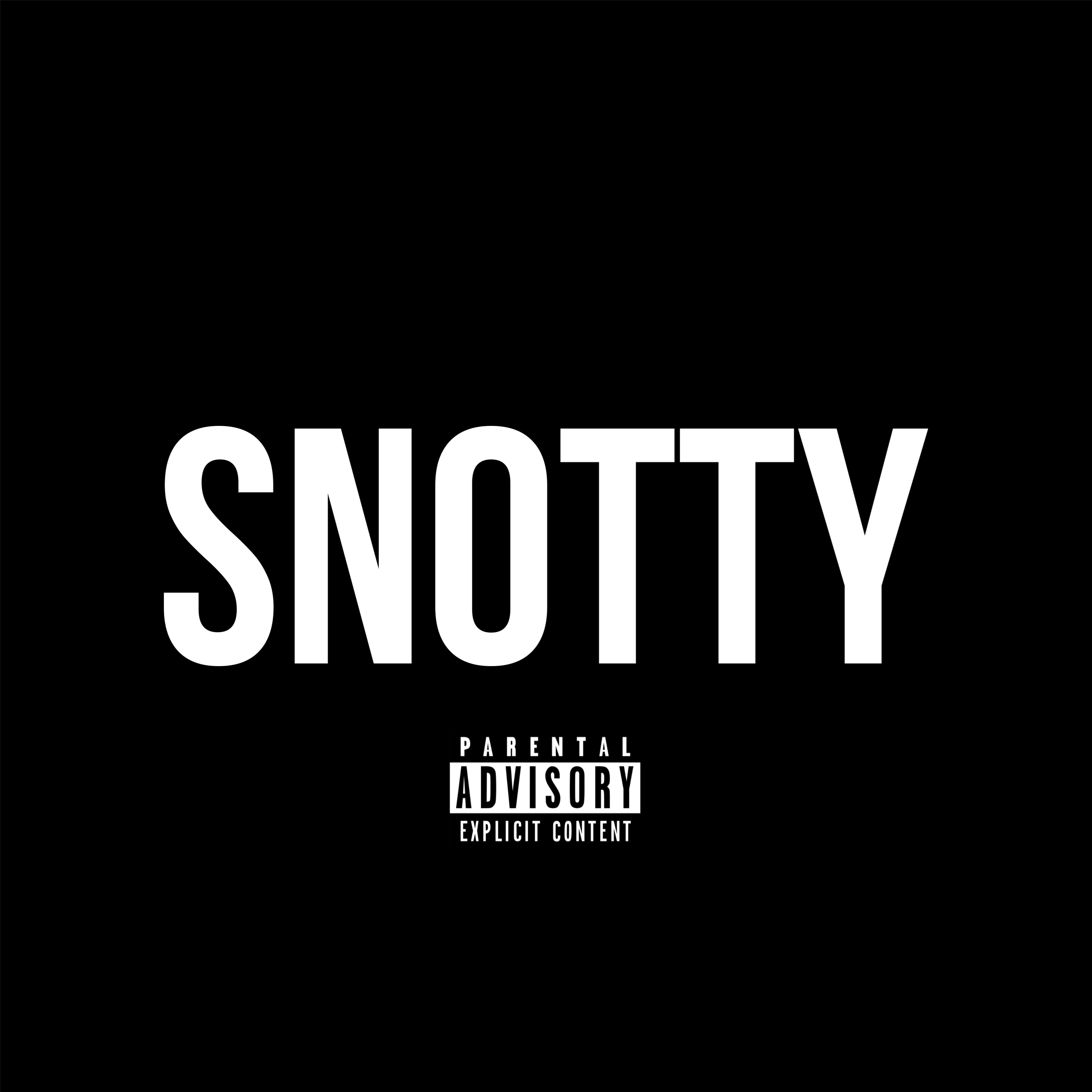 SNOTTY artwork