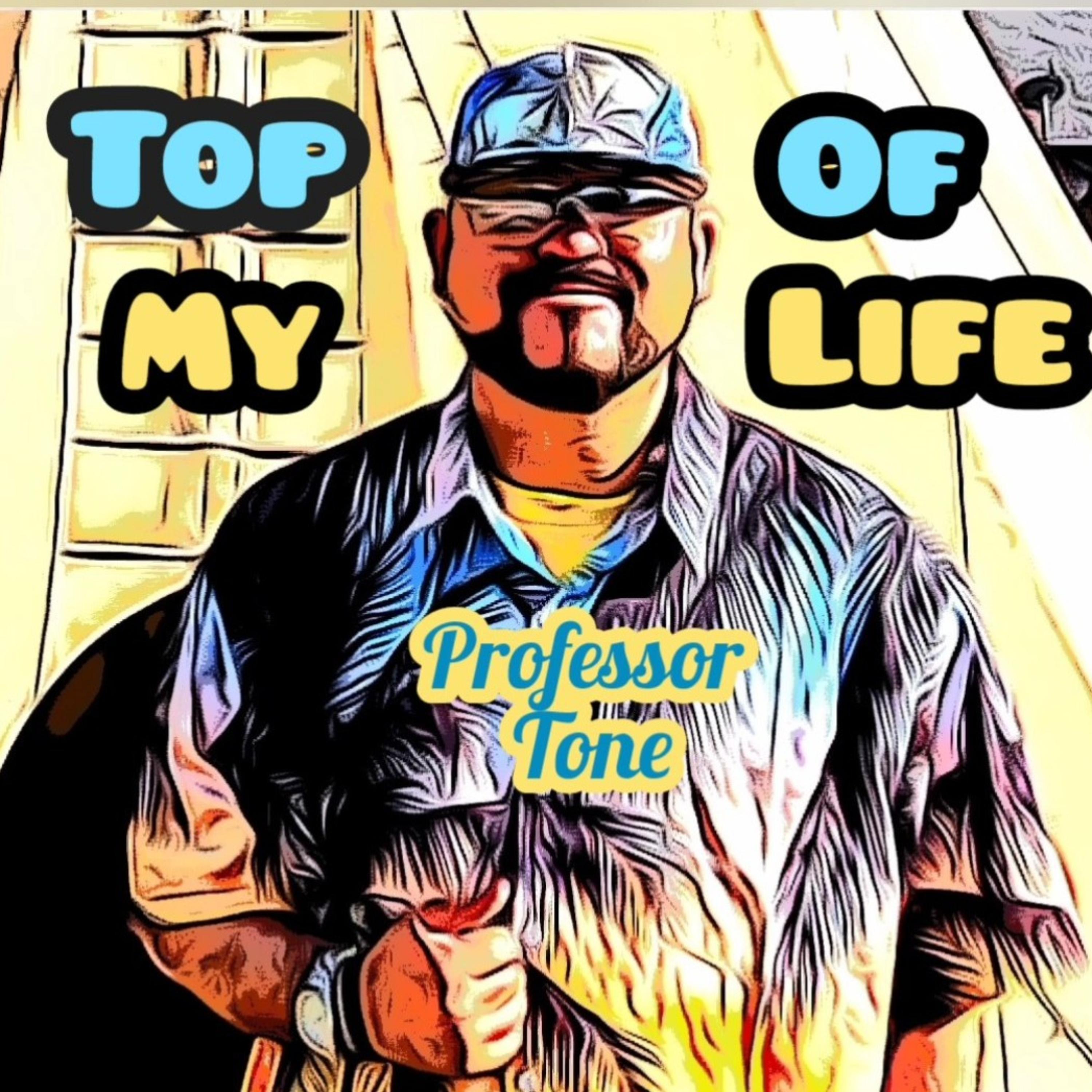 Top Of My Life  artwork