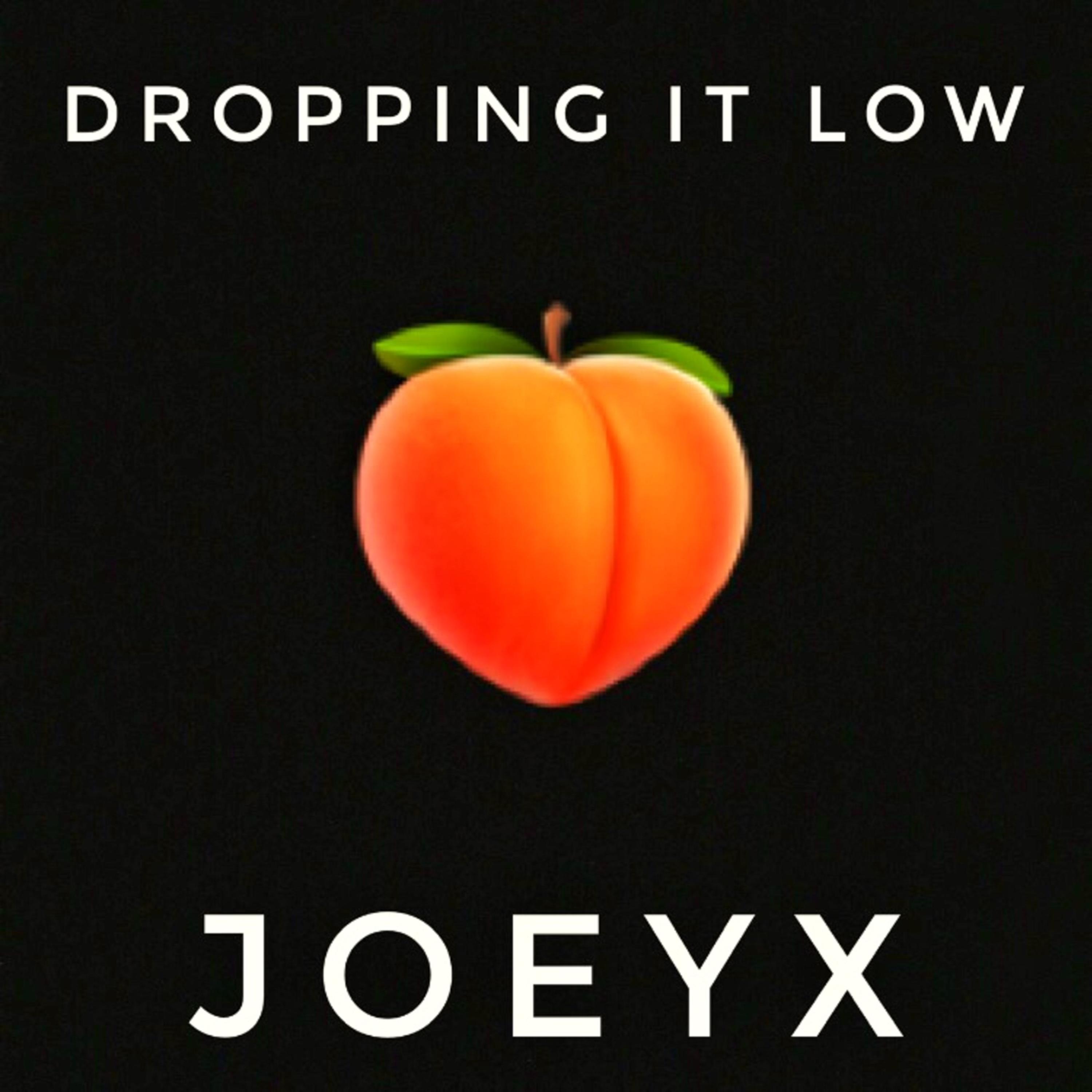 Dropping It Low artwork
