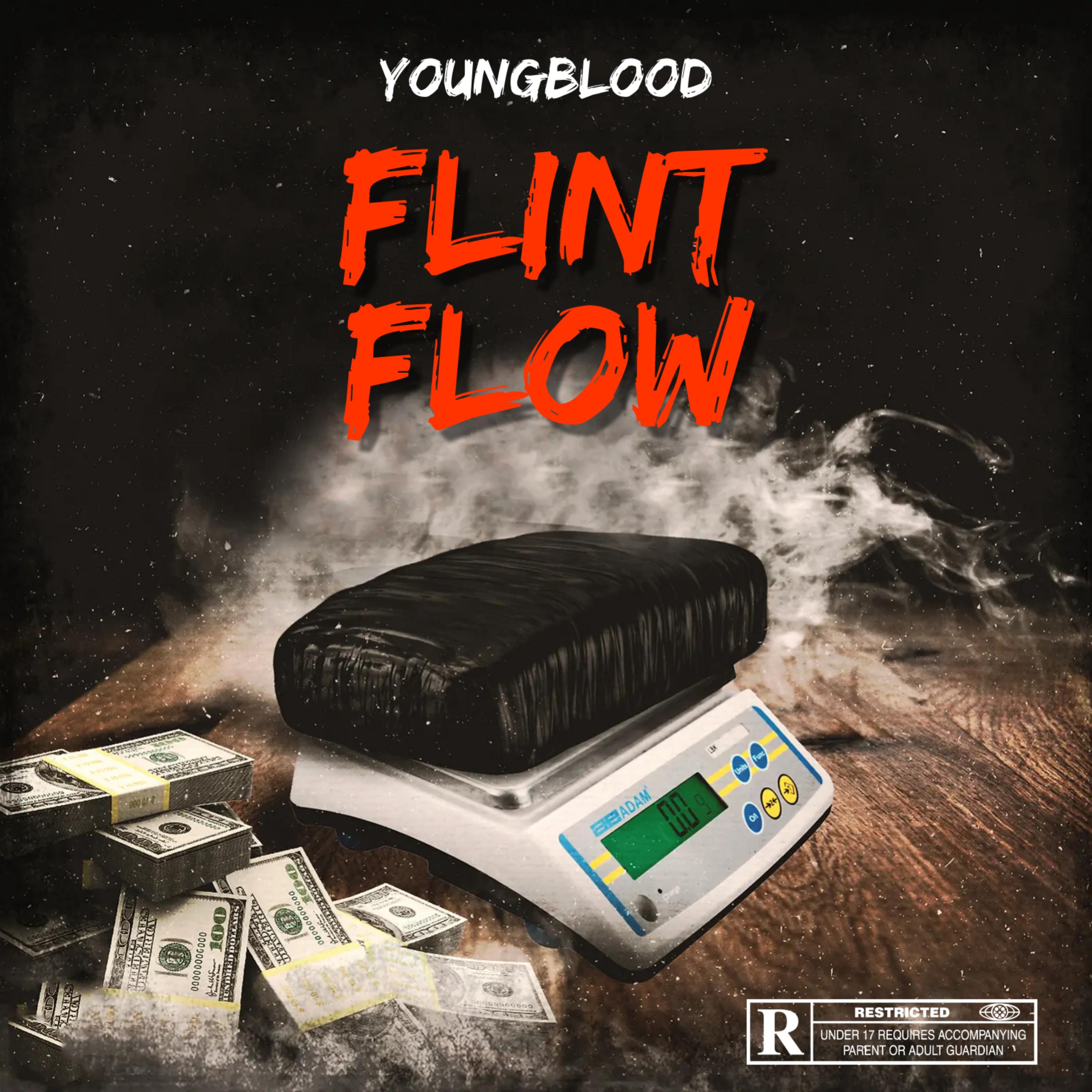 Flint Flow by Tay$leep cover art