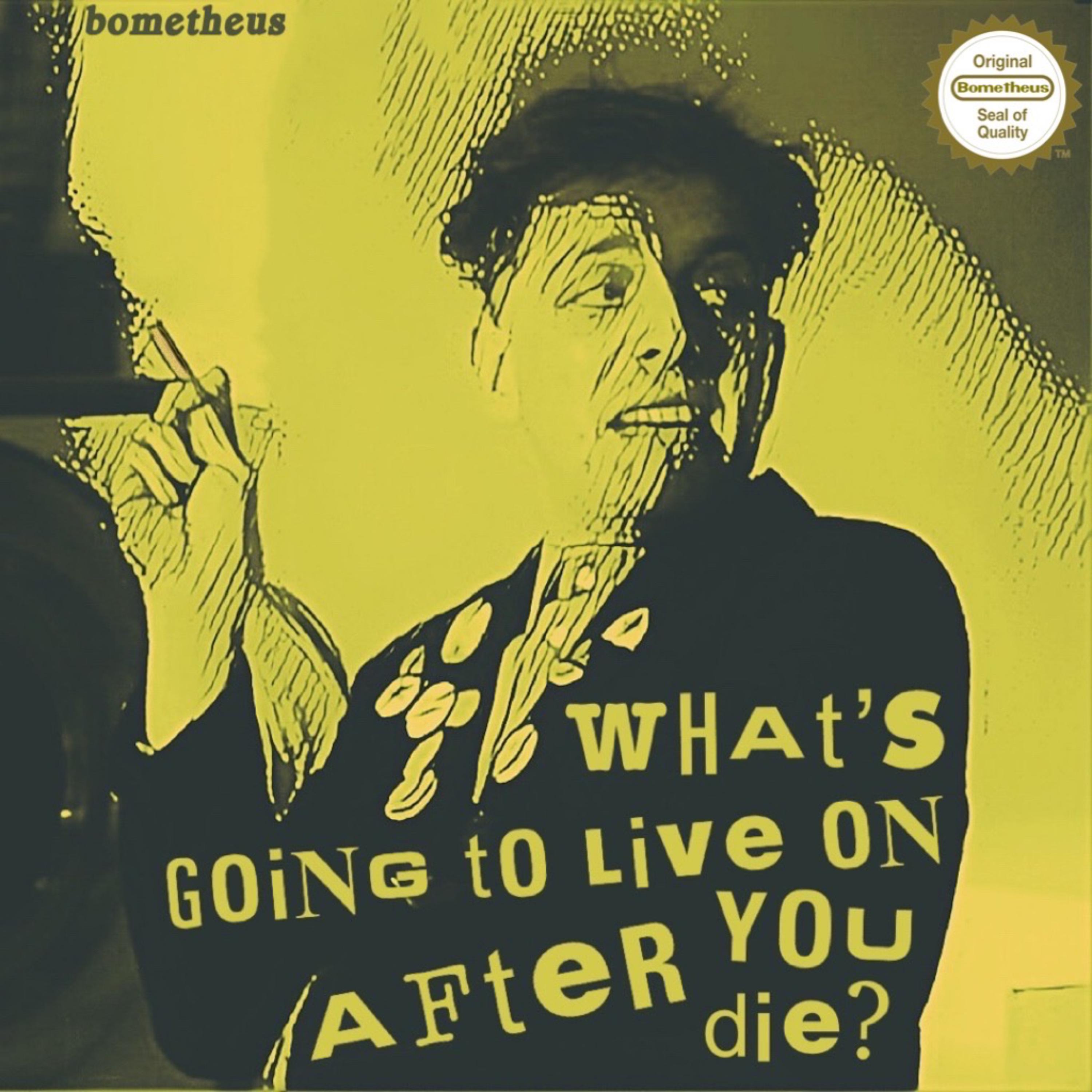 What's Going to Live On After You Die? by bometheus cover art
