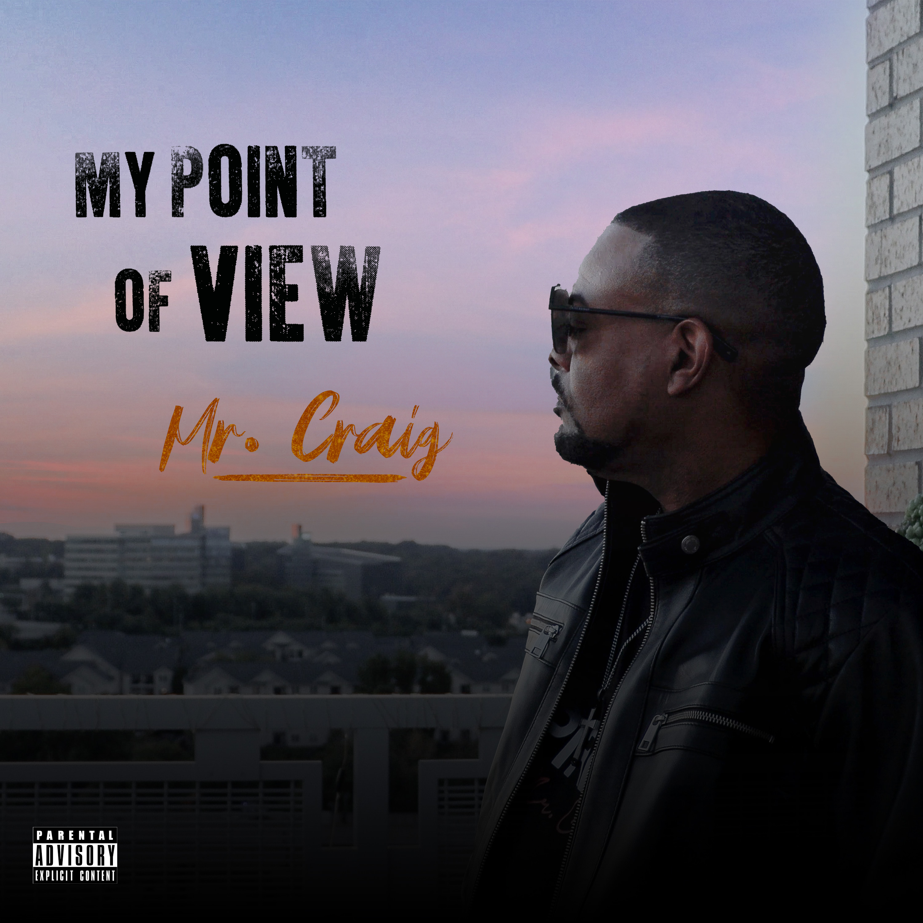 My Point Of View artwork