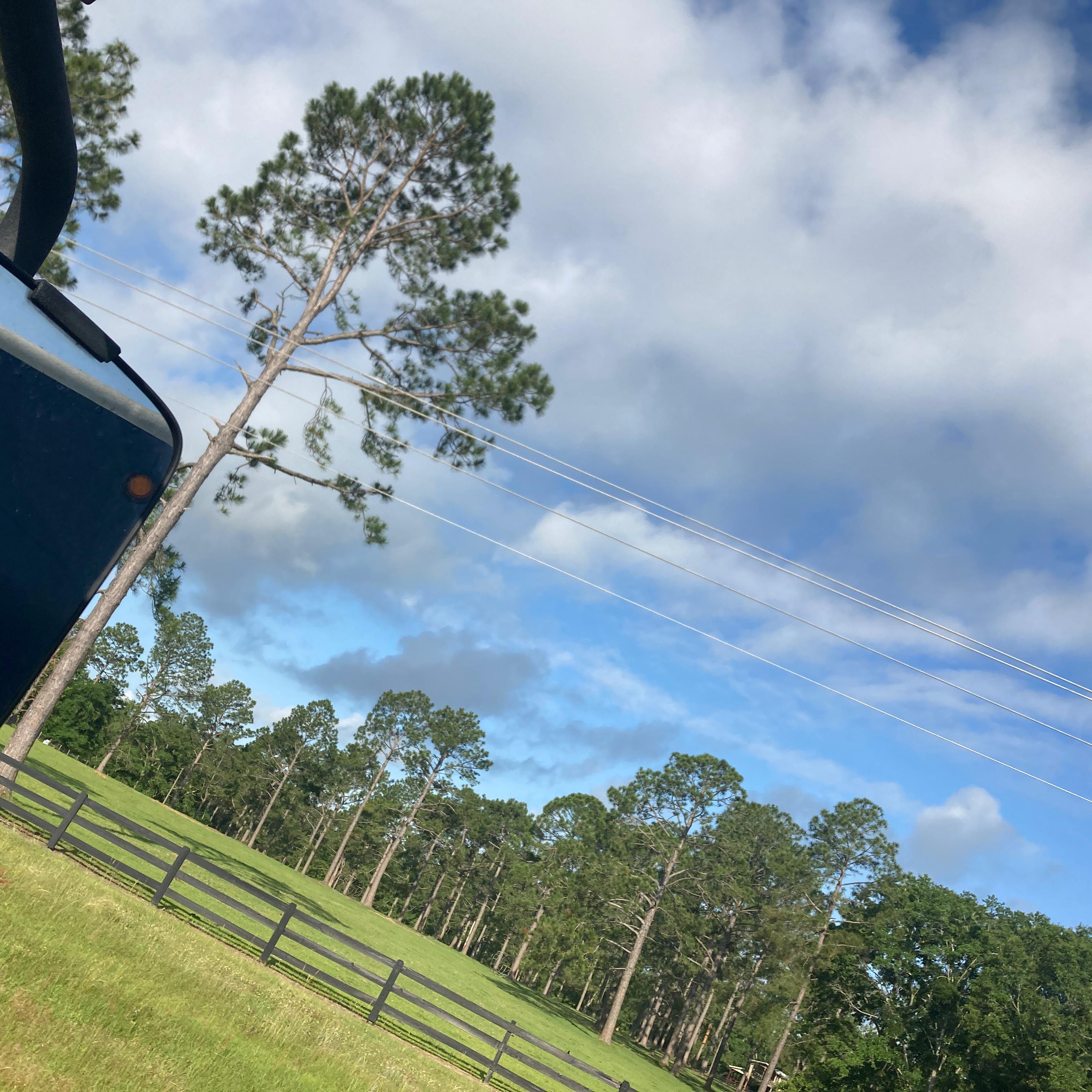 Crimson Tide artwork