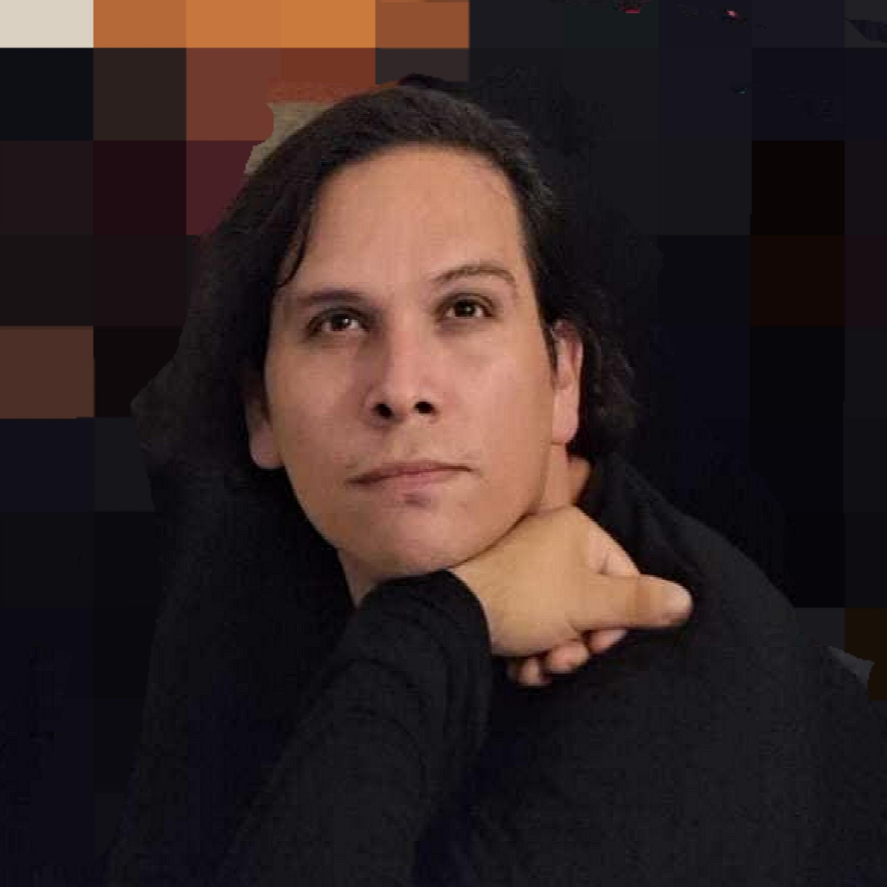 Cerdo Invisible artwork