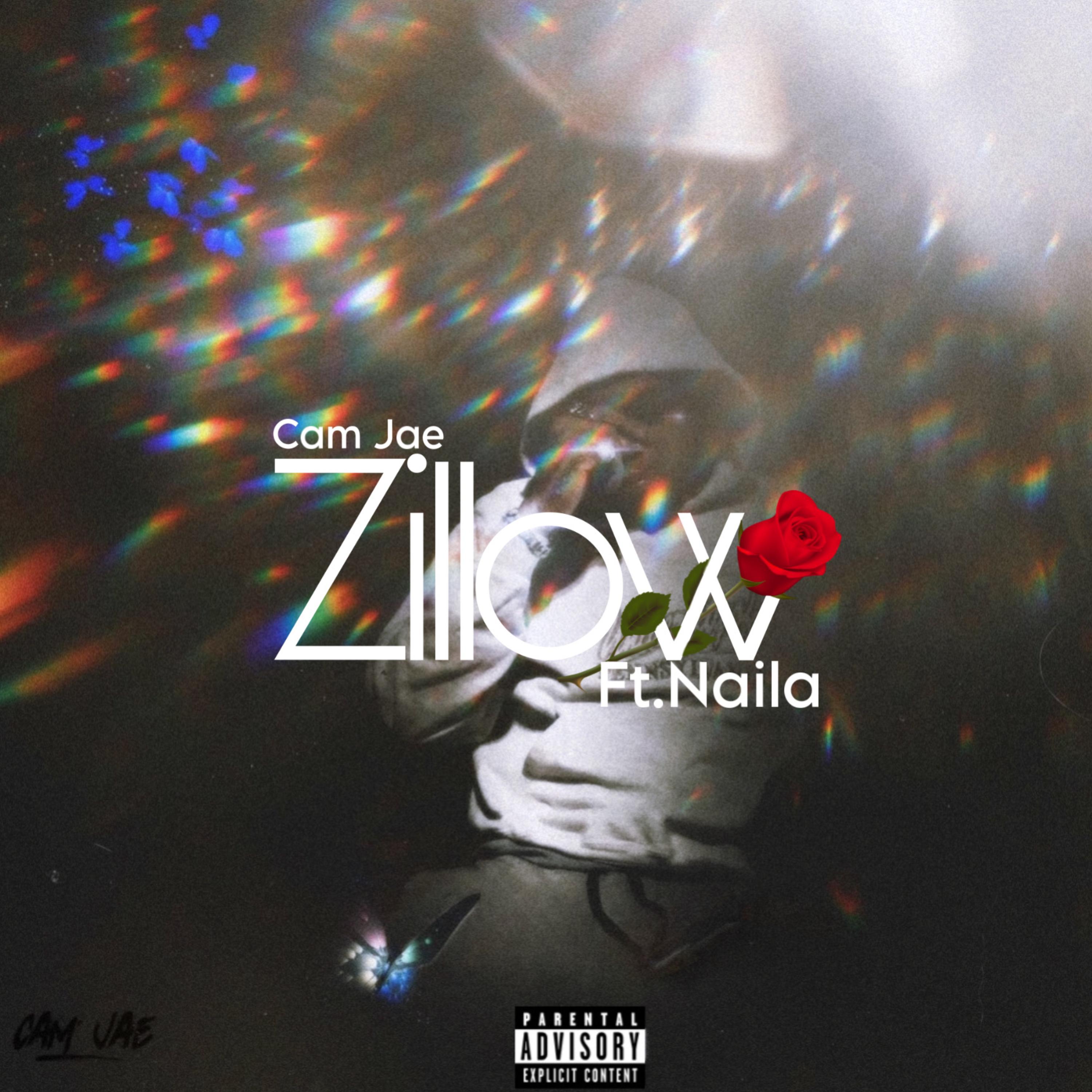 Zillow artwork