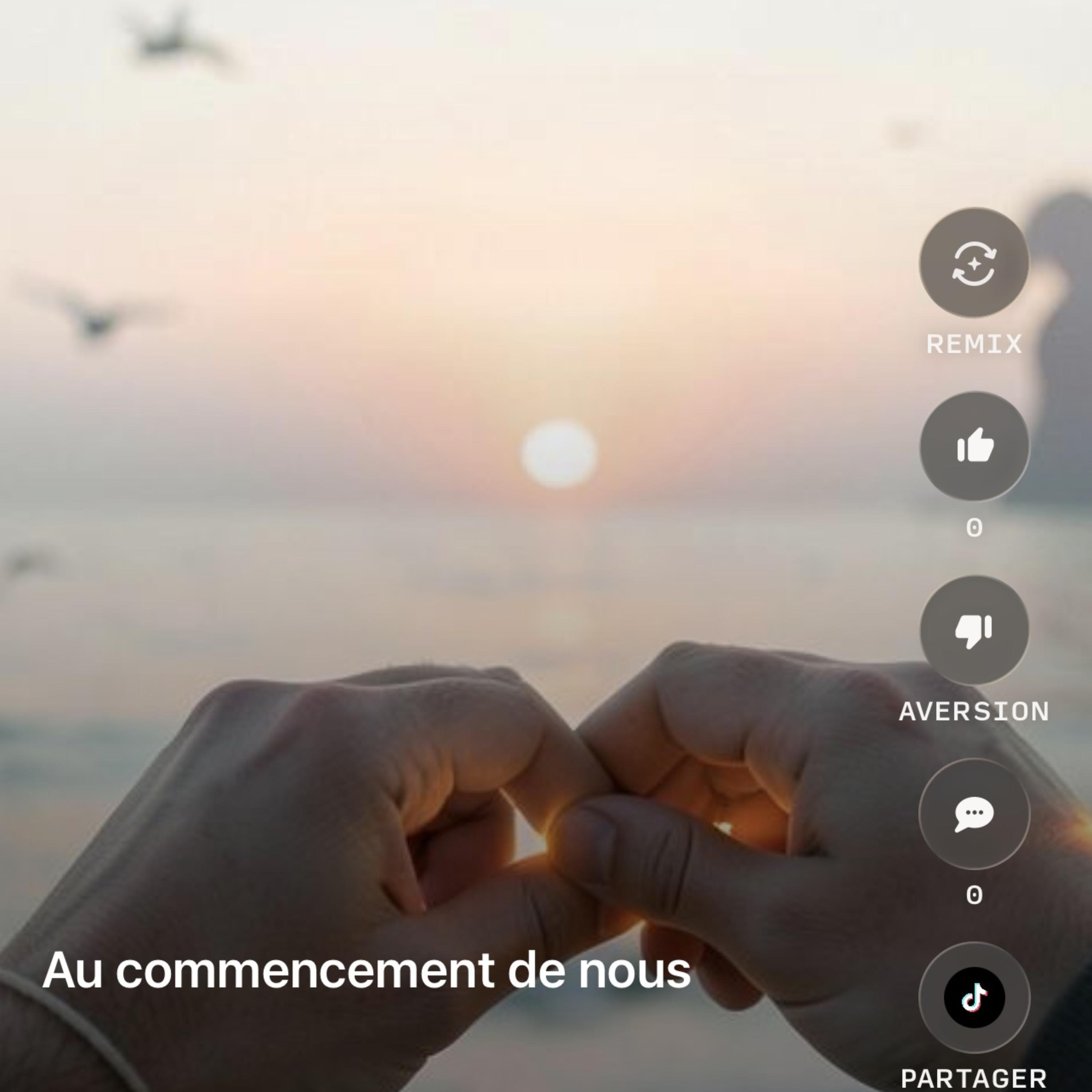 Amour Sans Hasard 1 by Justin Barihuta cover art