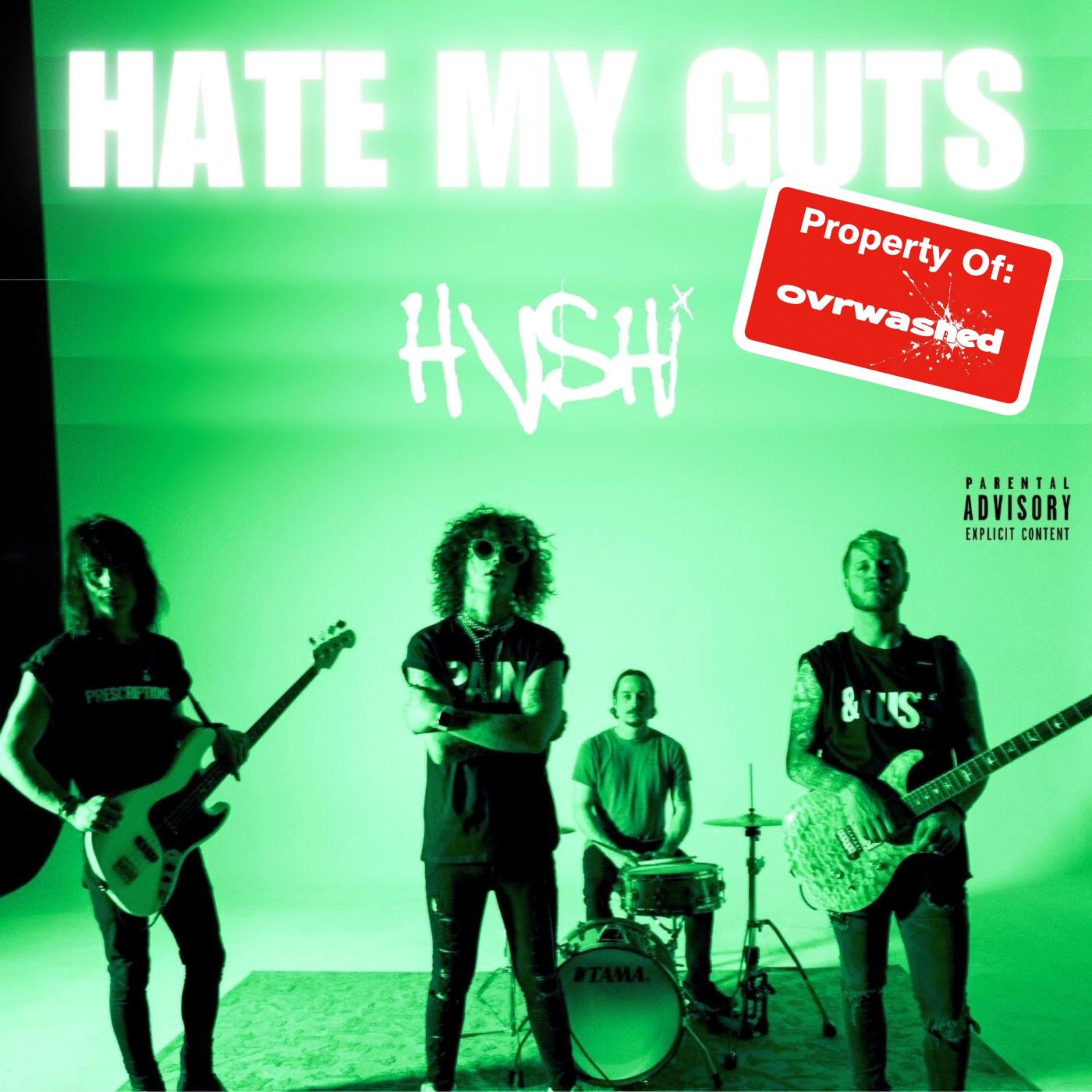 HATE MY GUTS artwork