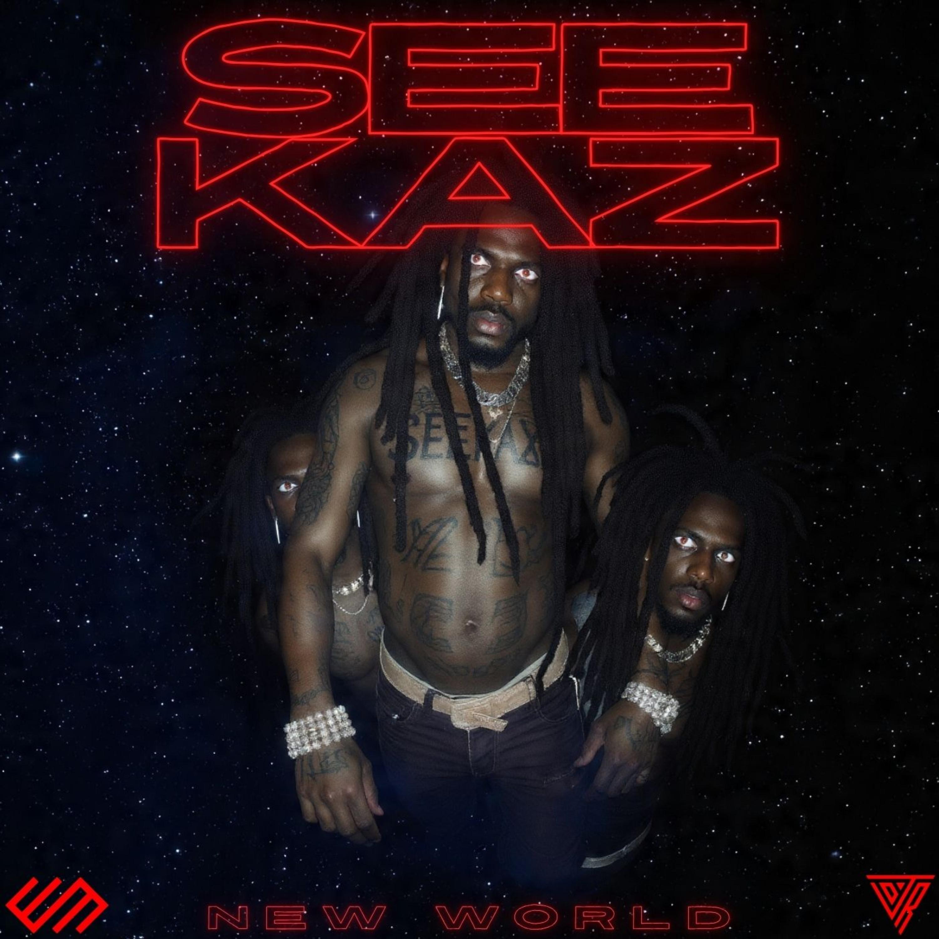 SEEKAZ NEW WORLD artwork