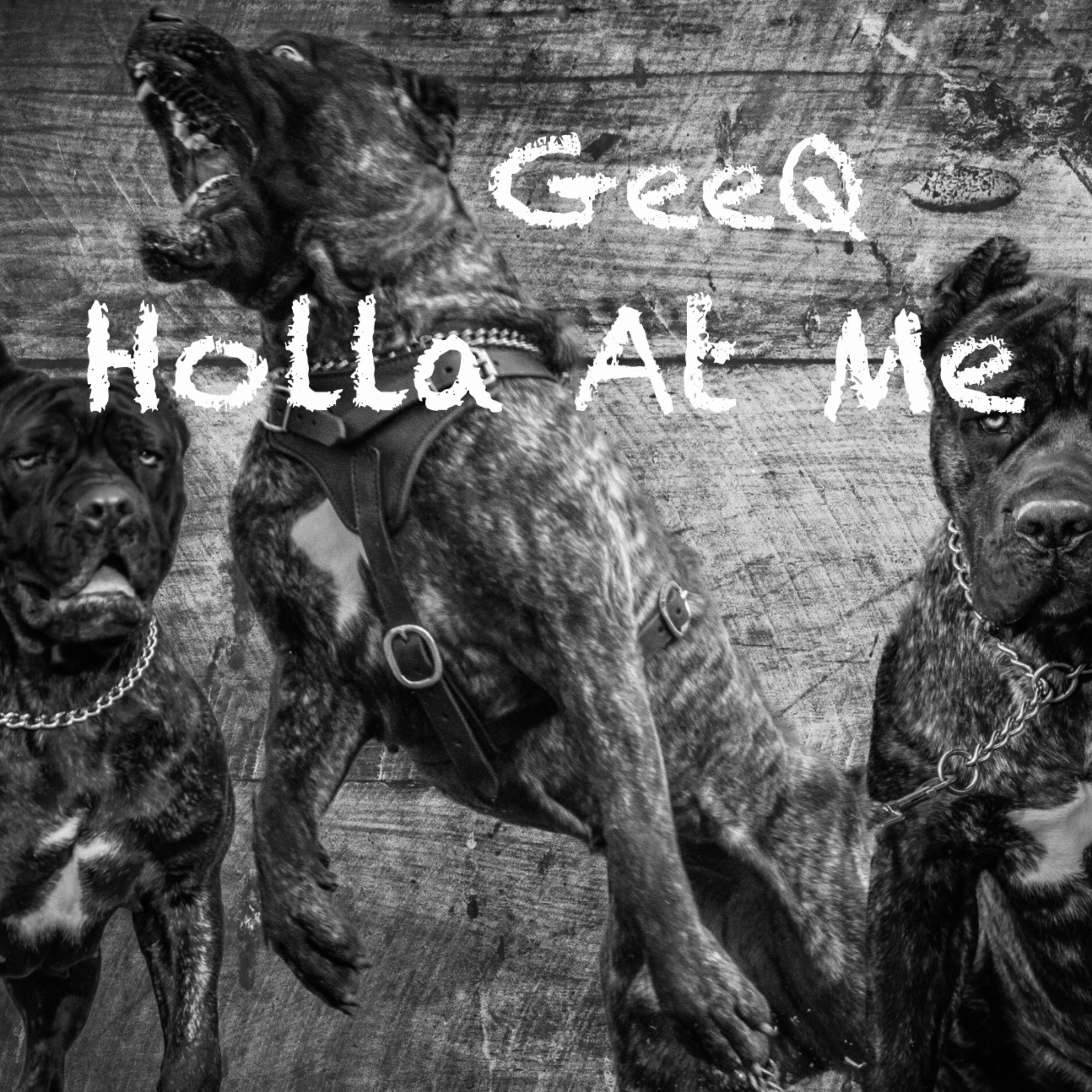 Holla At Me artwork