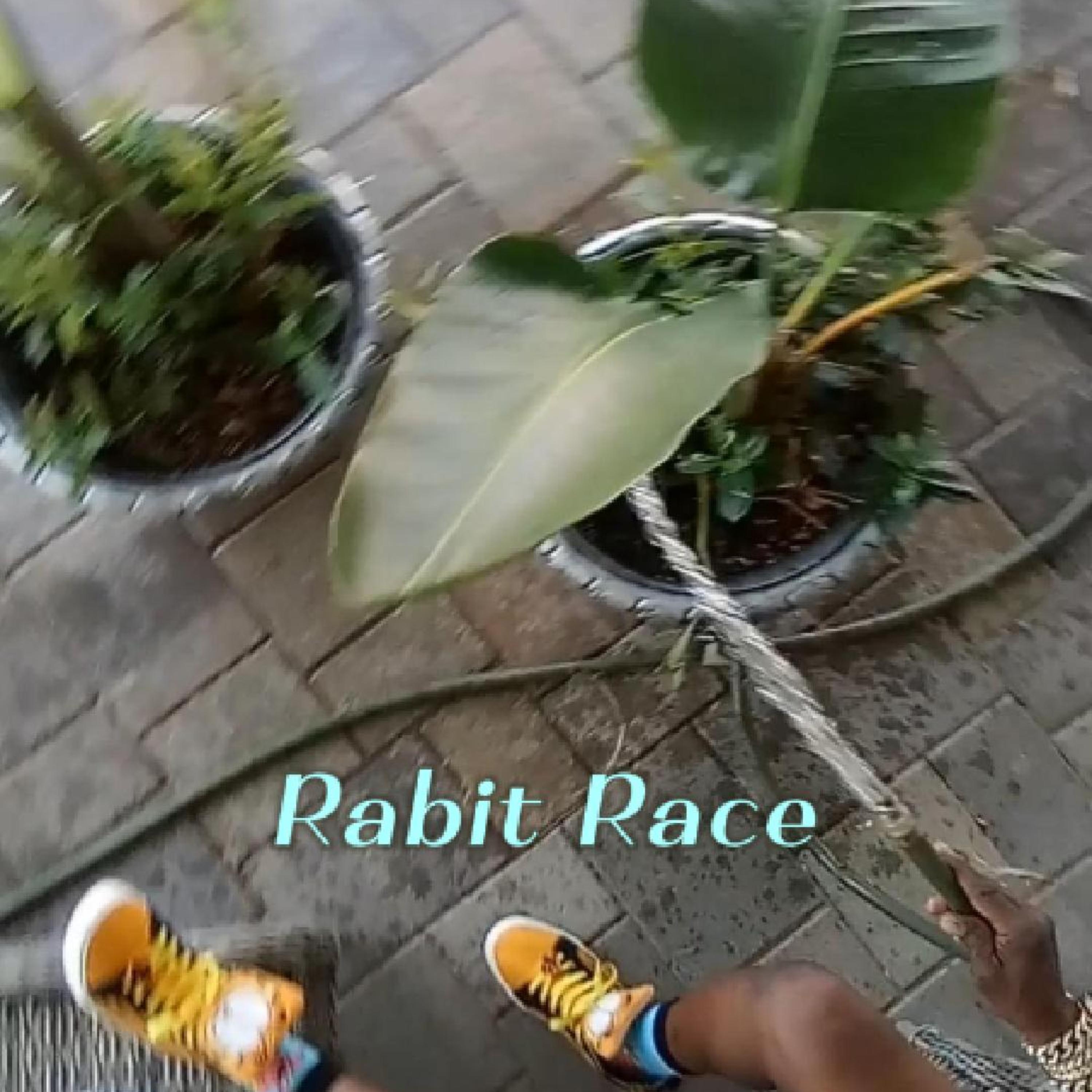 Rabit Race artwork
