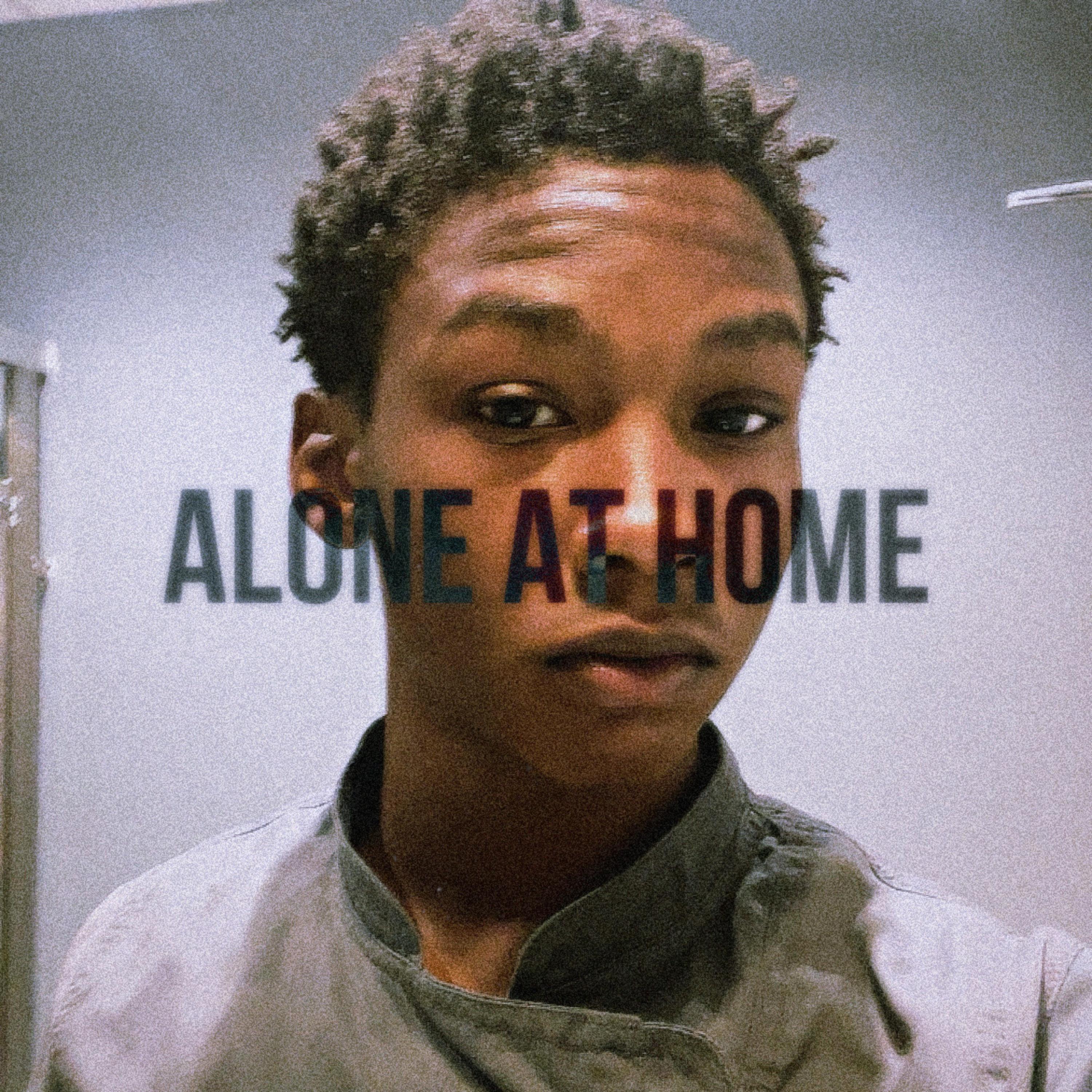 Alone At Home artwork