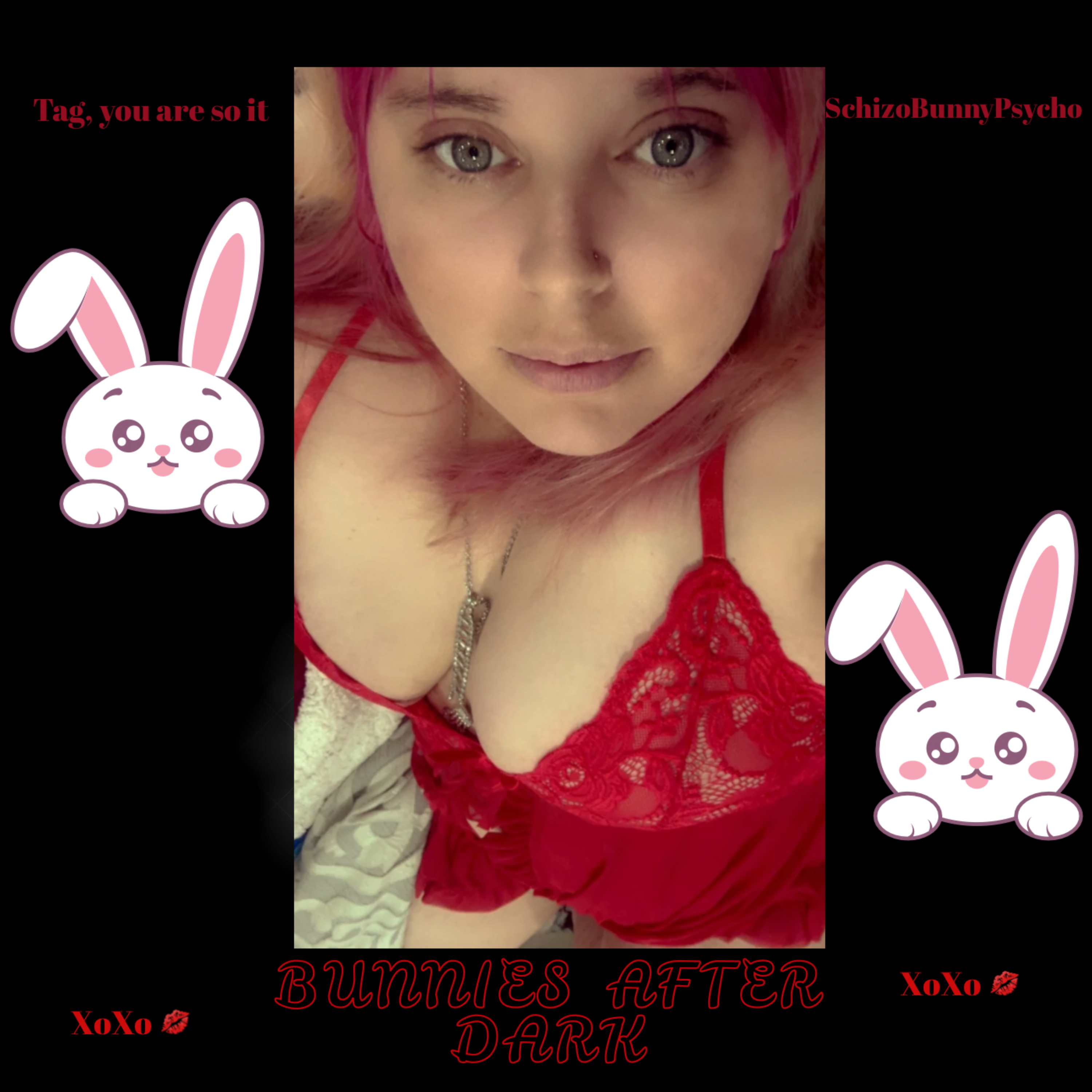 Bunnies After Dark artwork