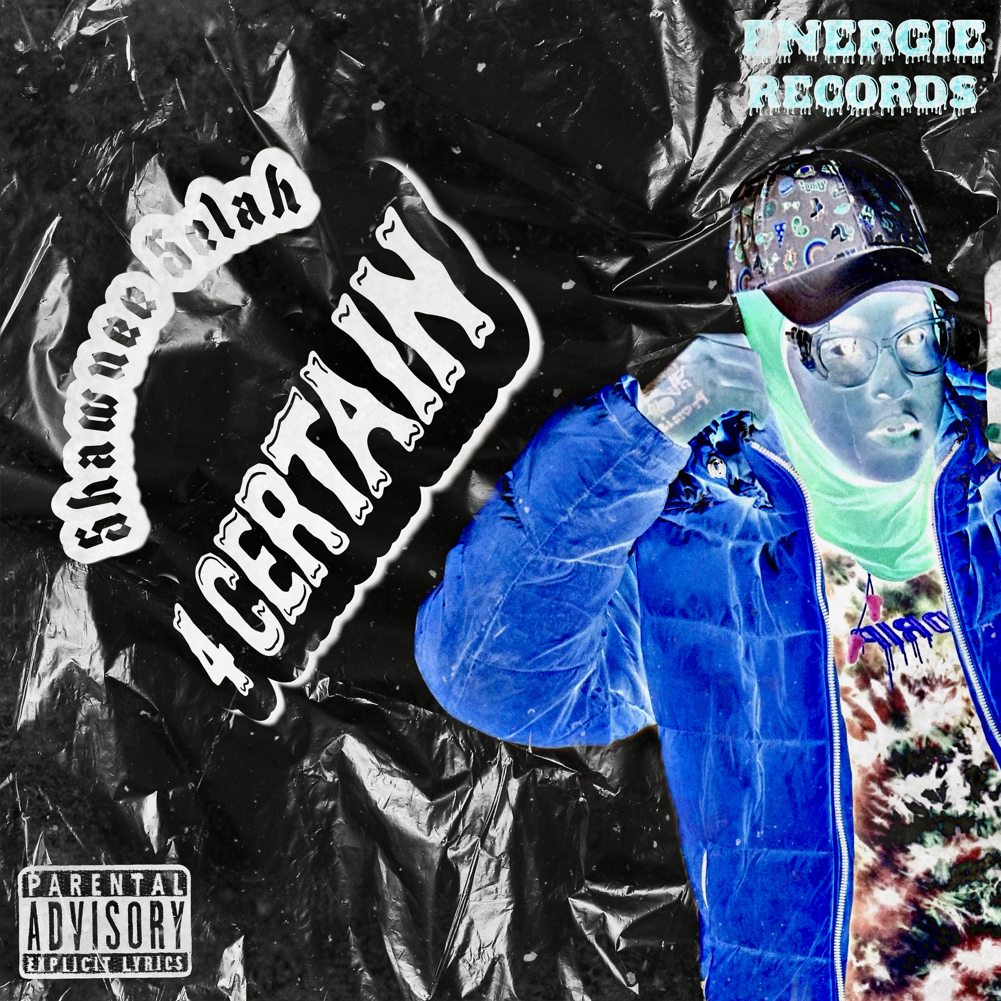 4 Certain artwork