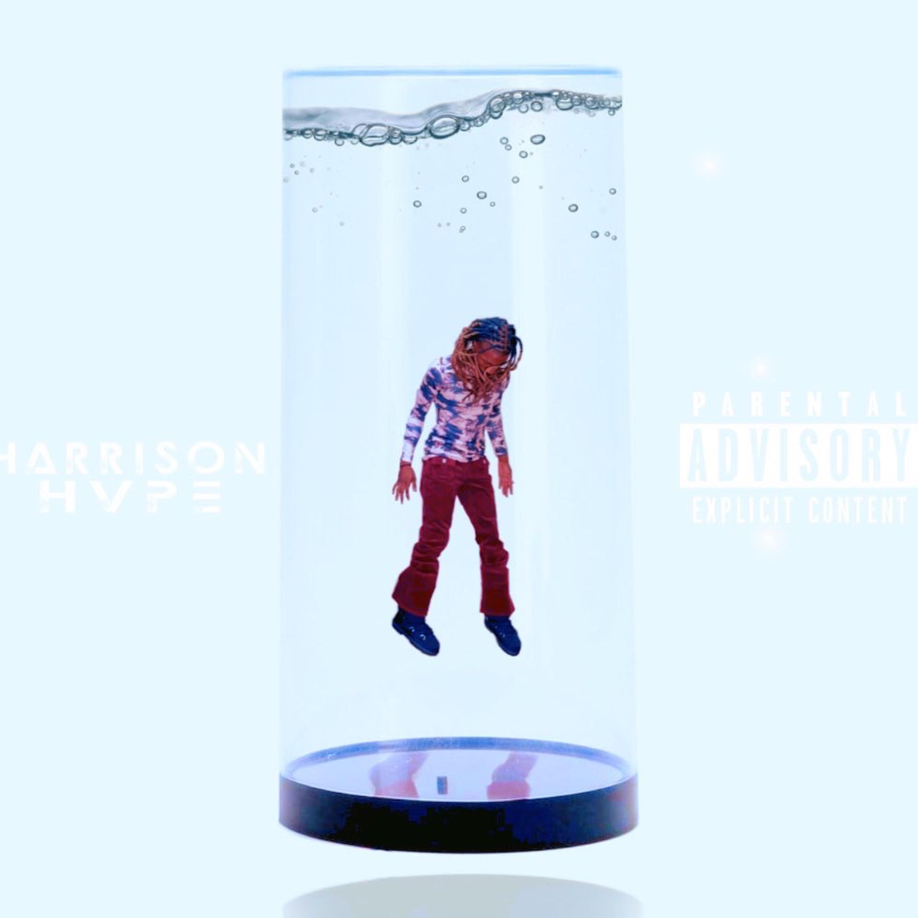 HarrisonHvpe artwork