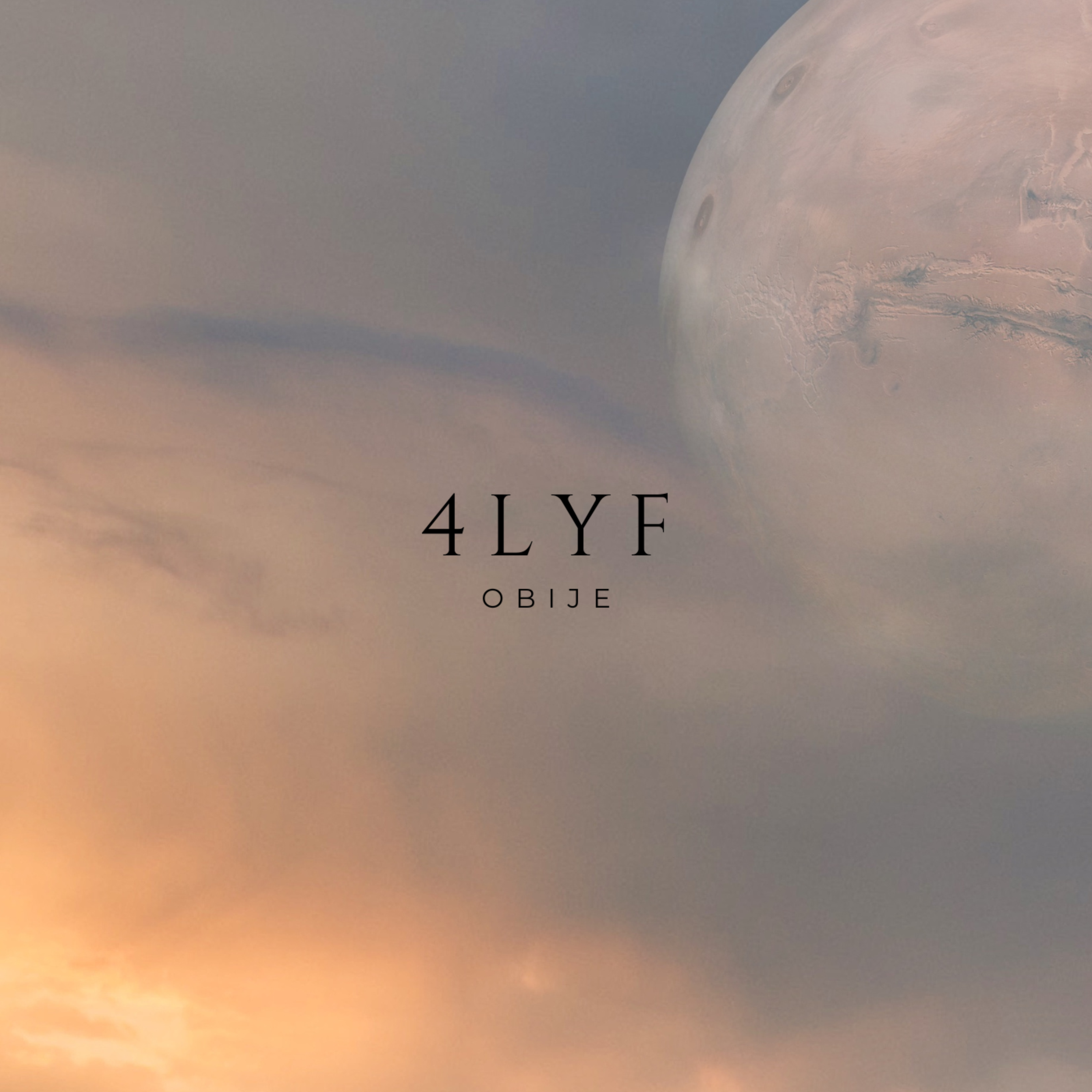 4LYF artwork