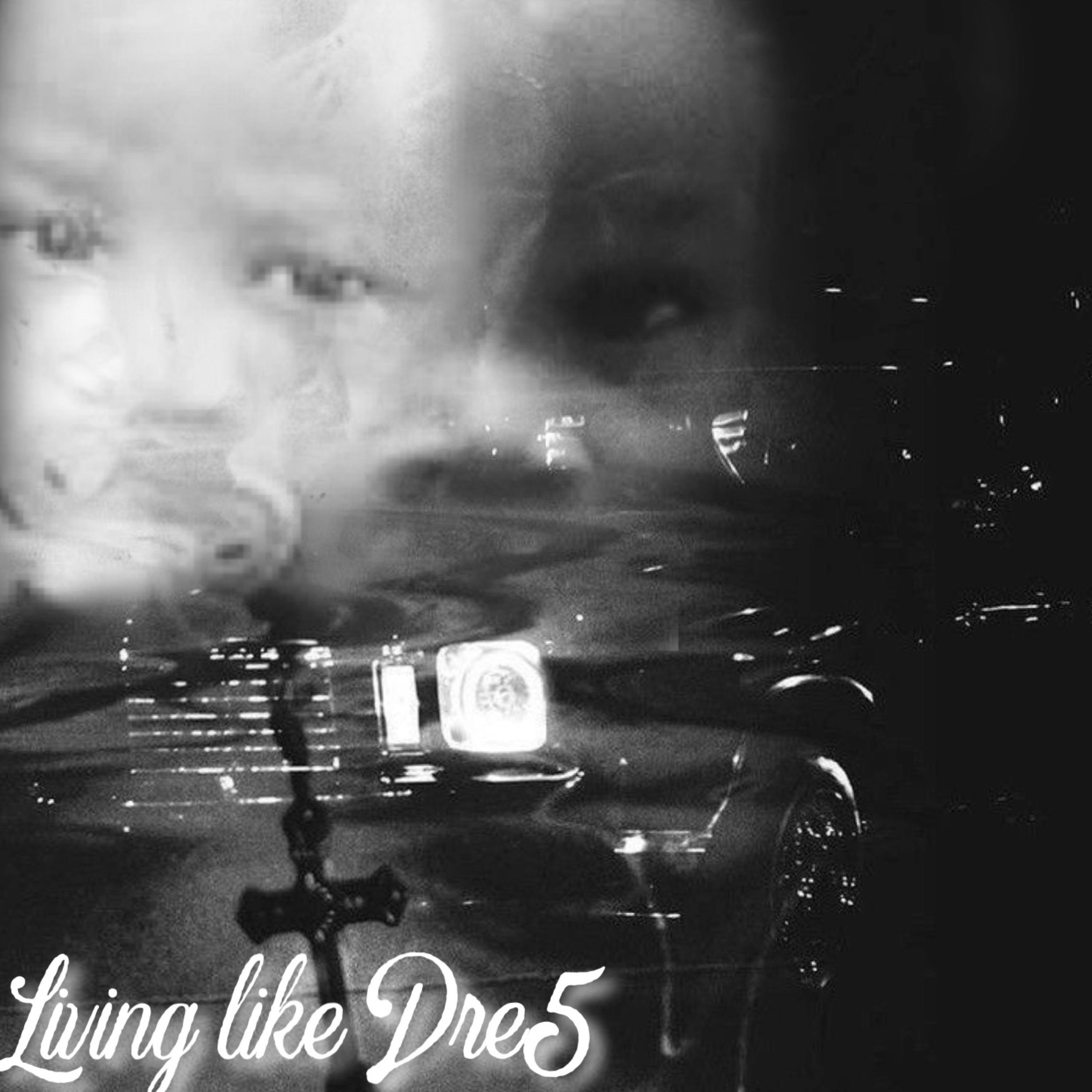 LIVING LIKE DRE5 artwork