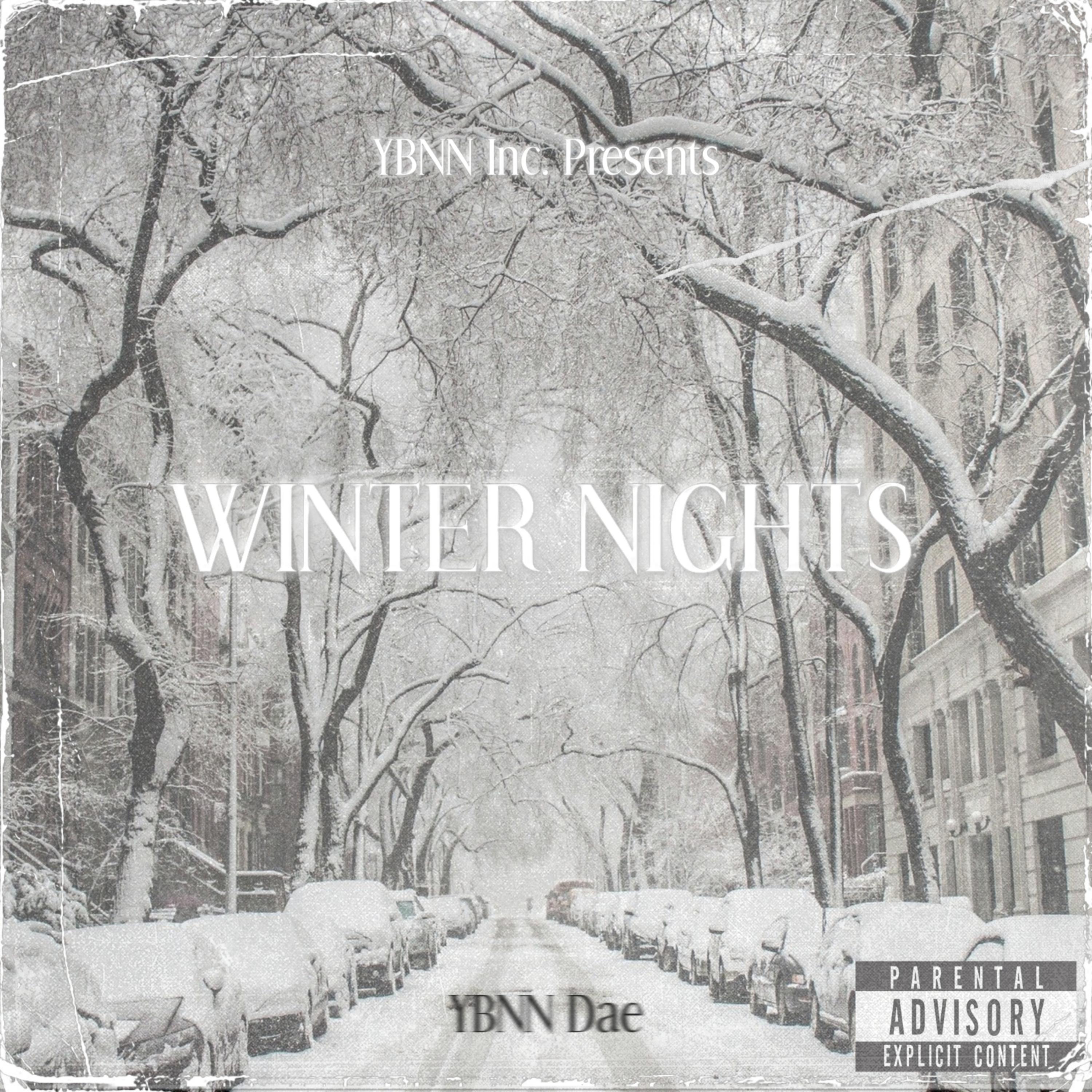 Winter Nights artwork