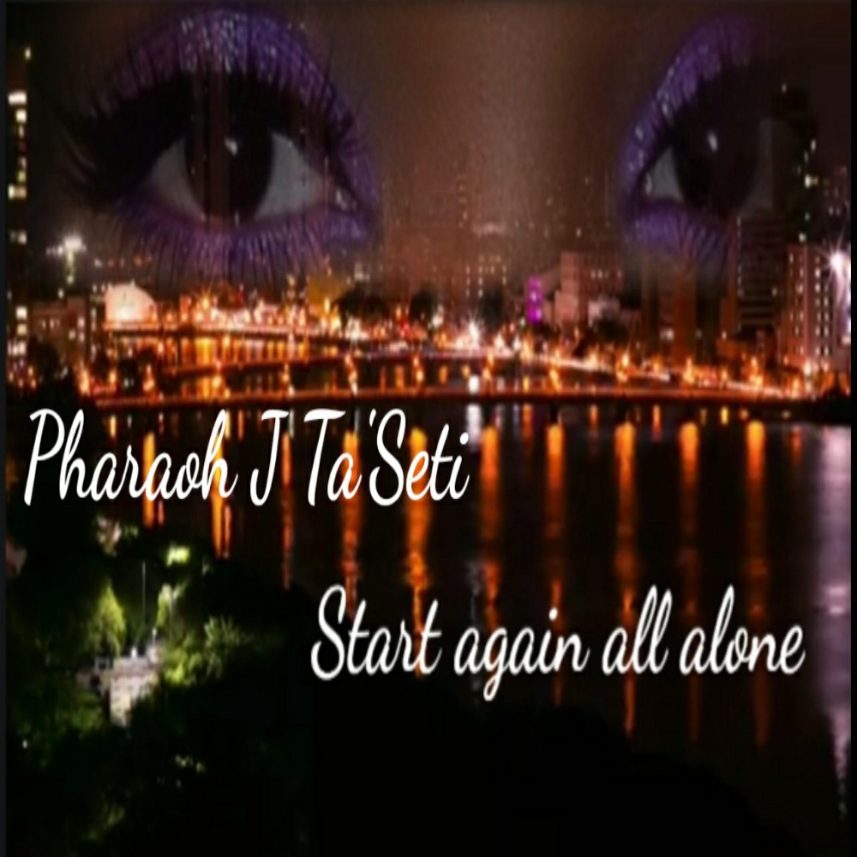 We start again All alone, Someone Just Like You artwork