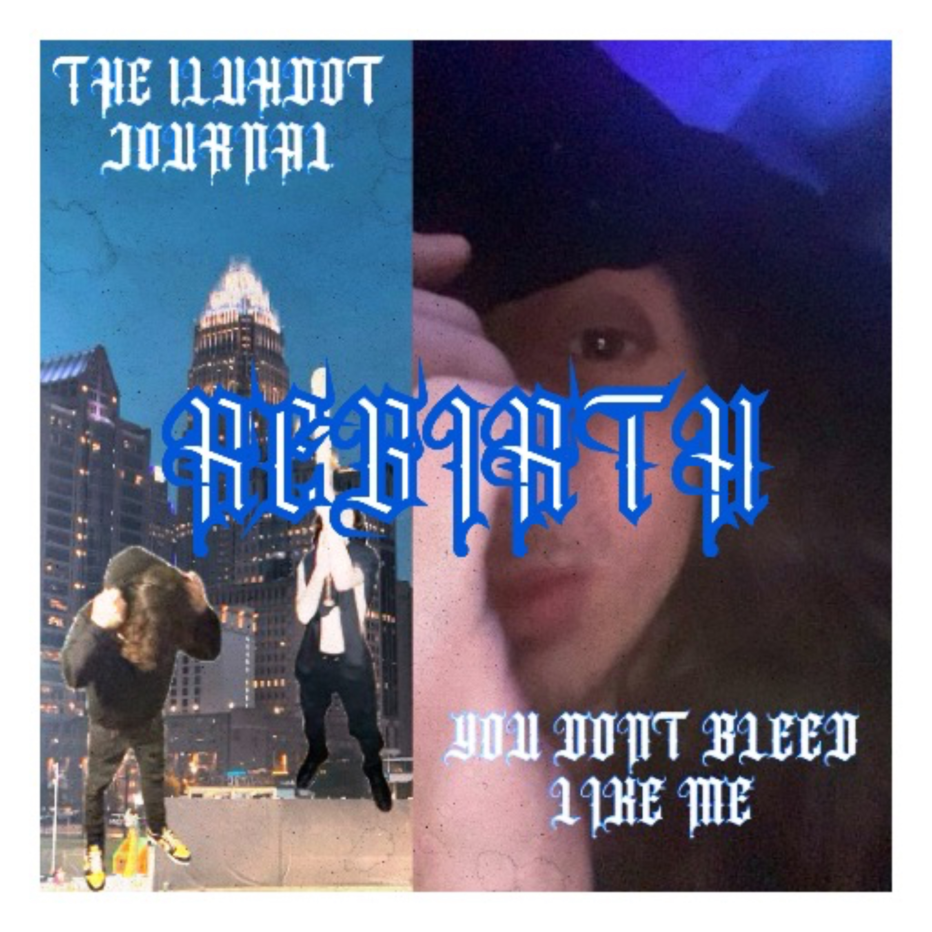 Rebirth (the journal of LD) artwork
