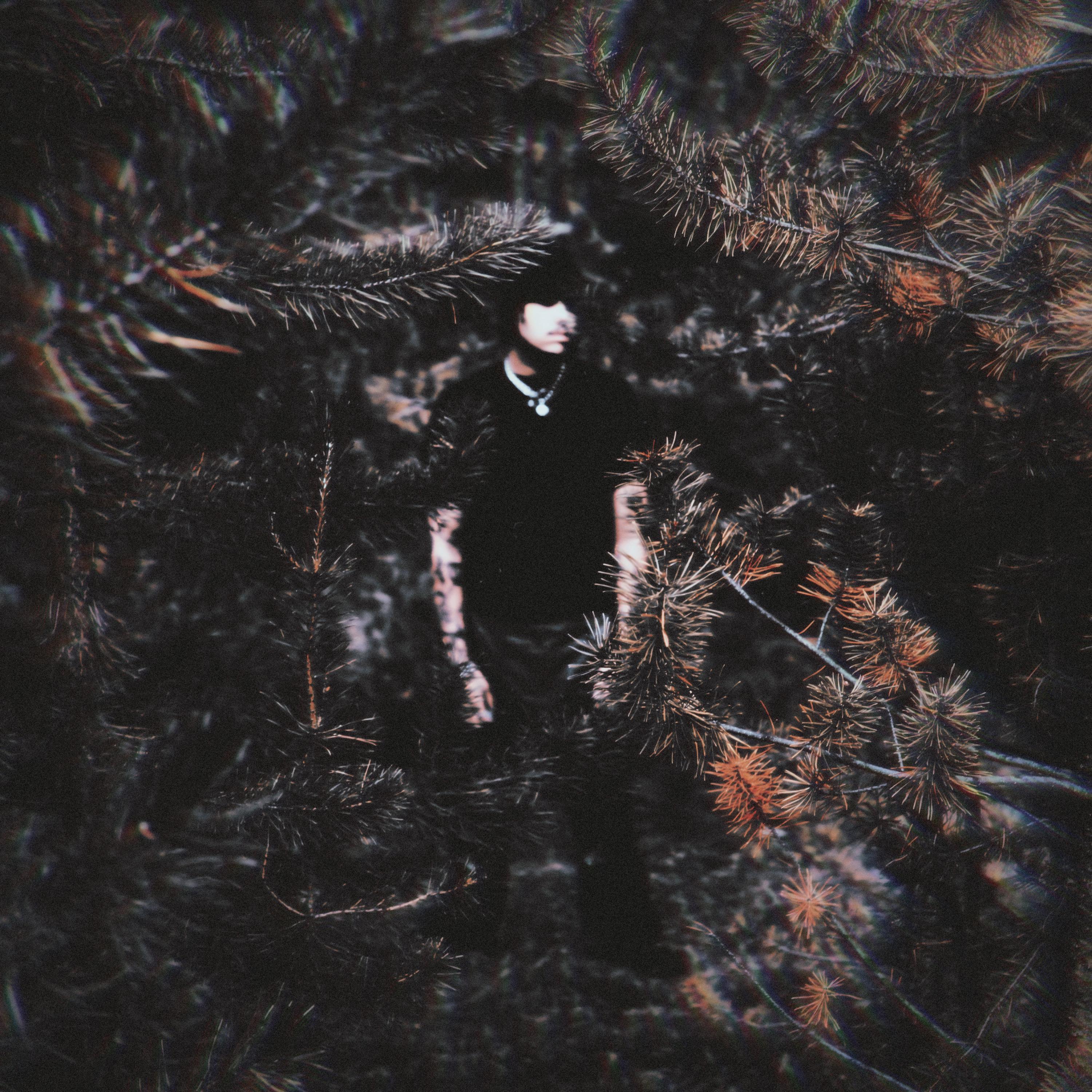 NOTHING CHANGES artwork
