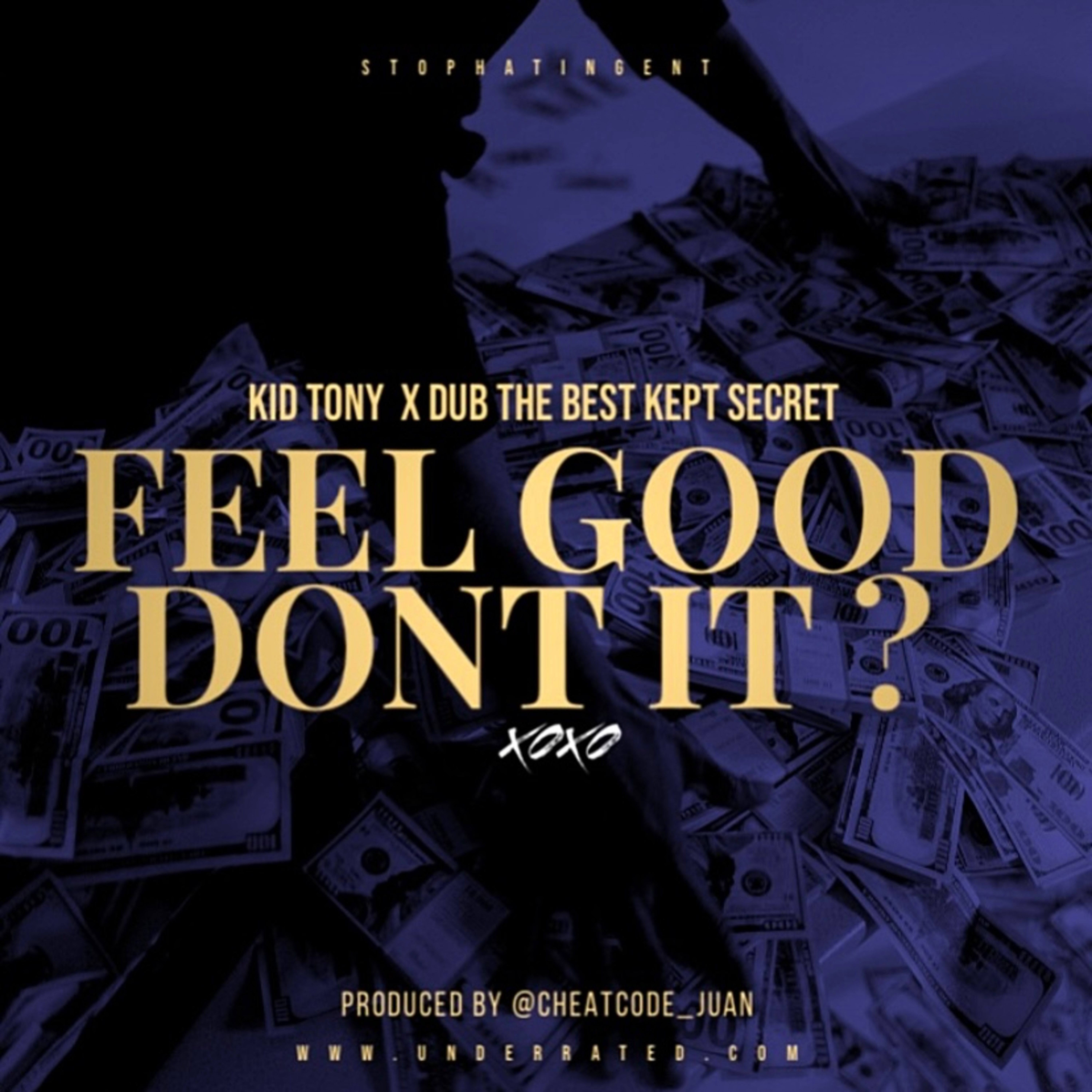 Feel Good Dont It ? by Dub The Best Kept Secret cover art