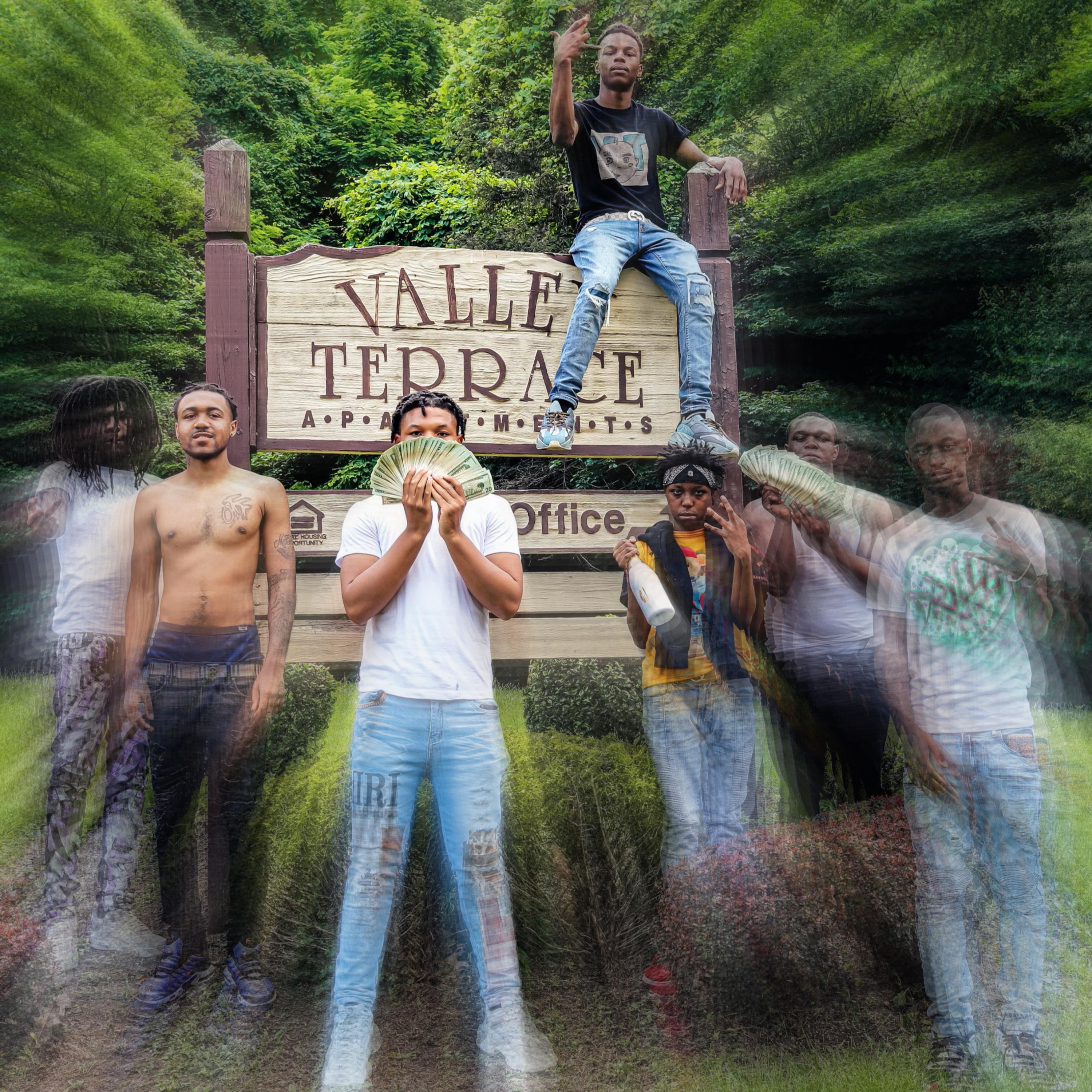 Valley Babies by Artista Drilla  cover art