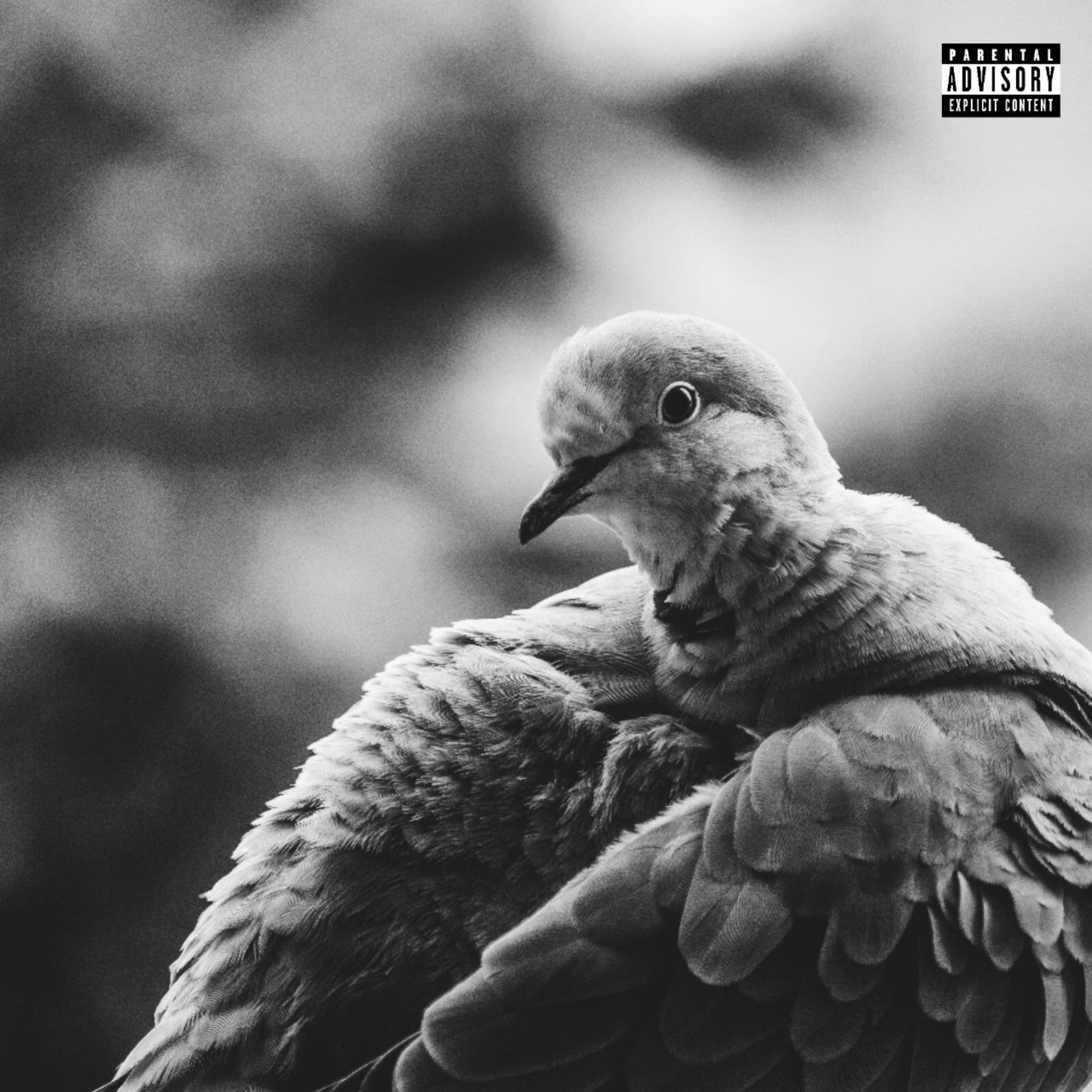 aaaah aaah aaah Chant by Young Gideon cover art