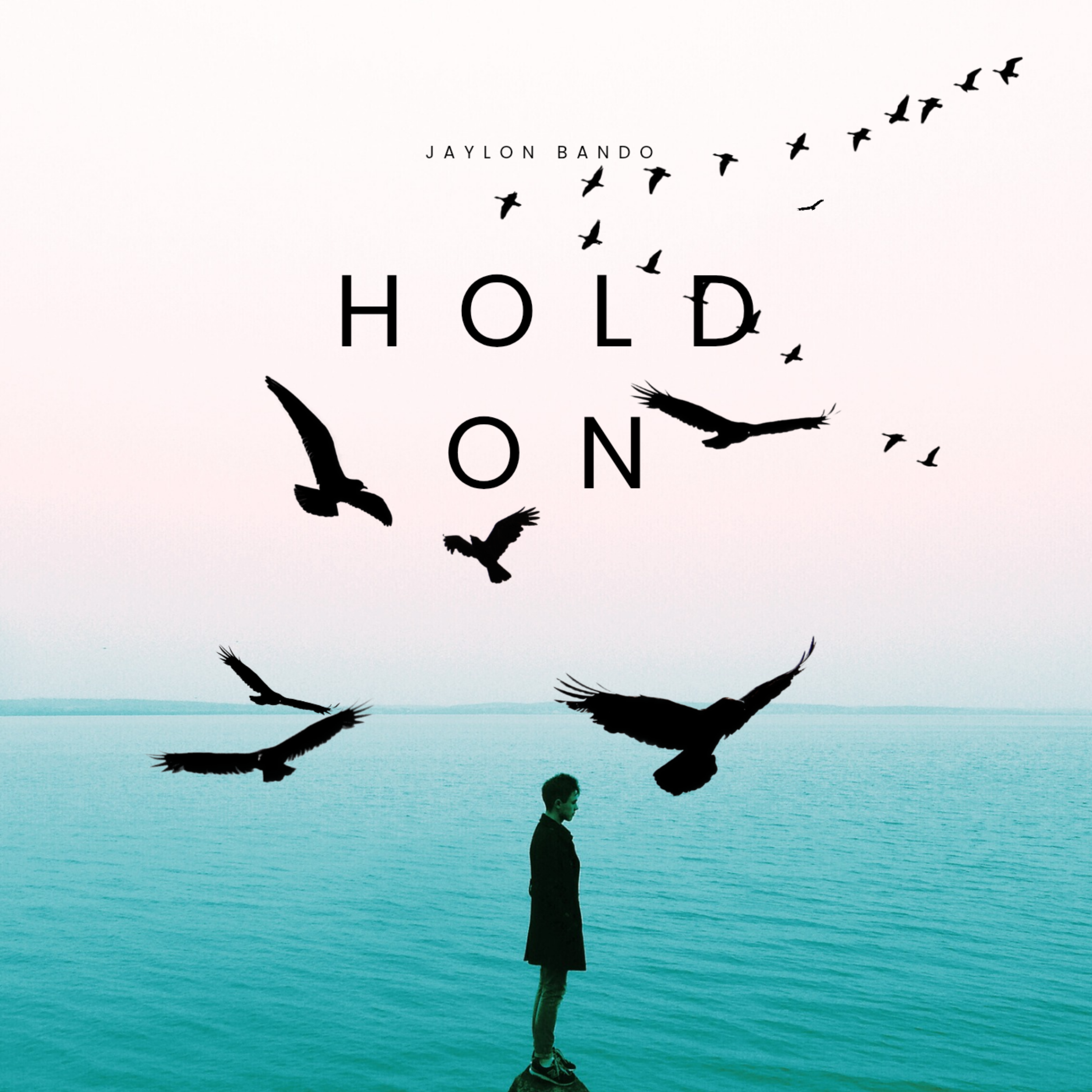 Hold on artwork