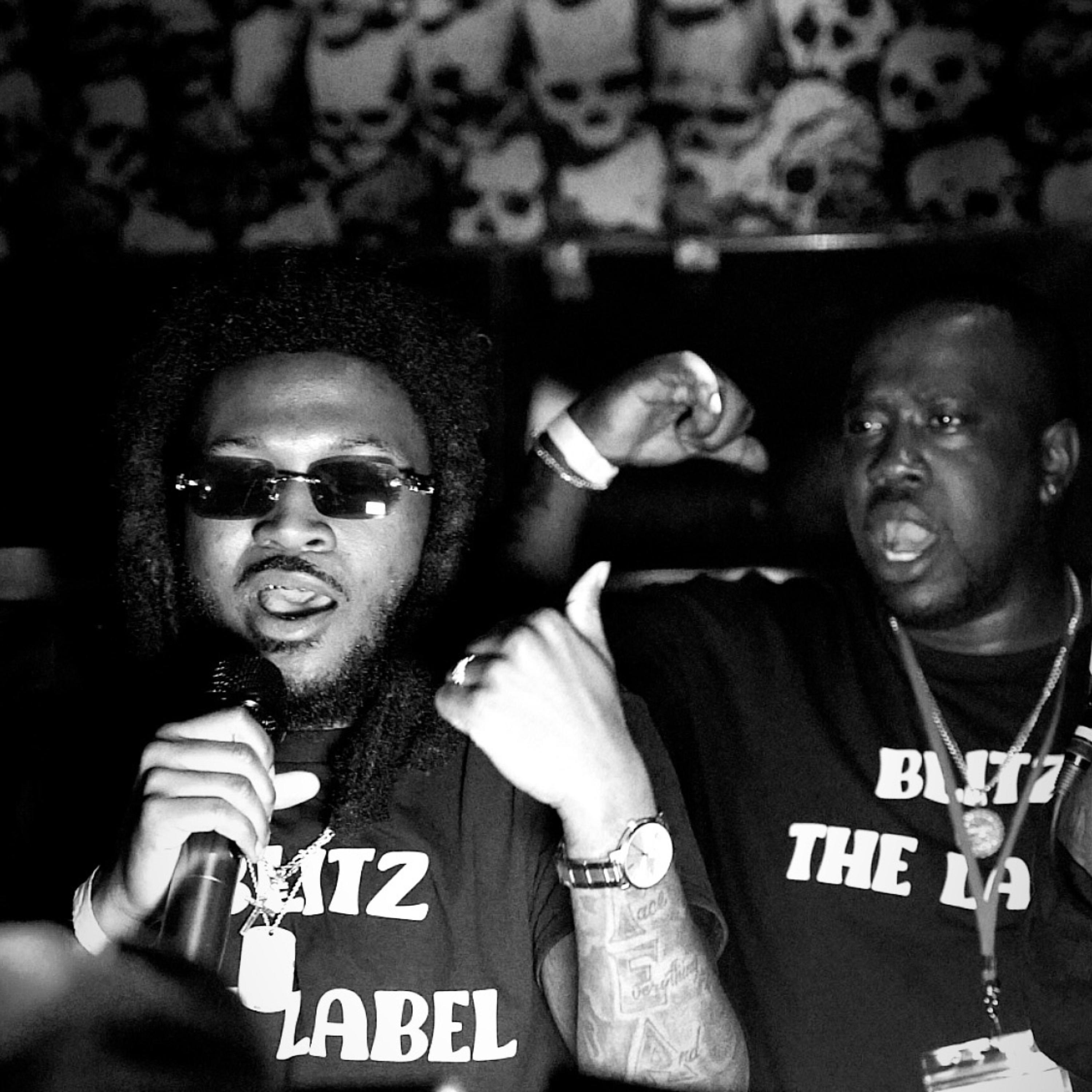 BTZ Freestyle artwork
