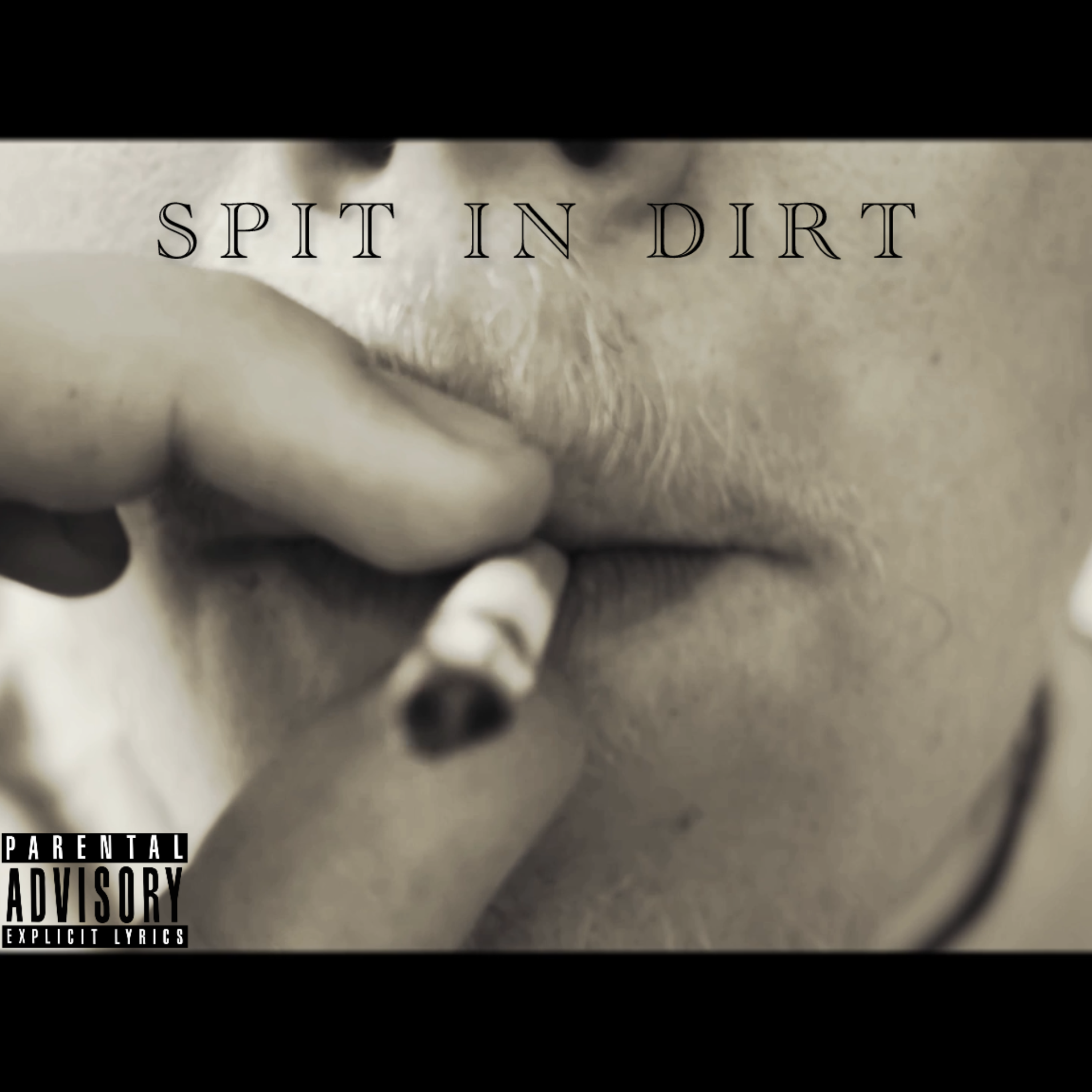 Spit In Dirt artwork