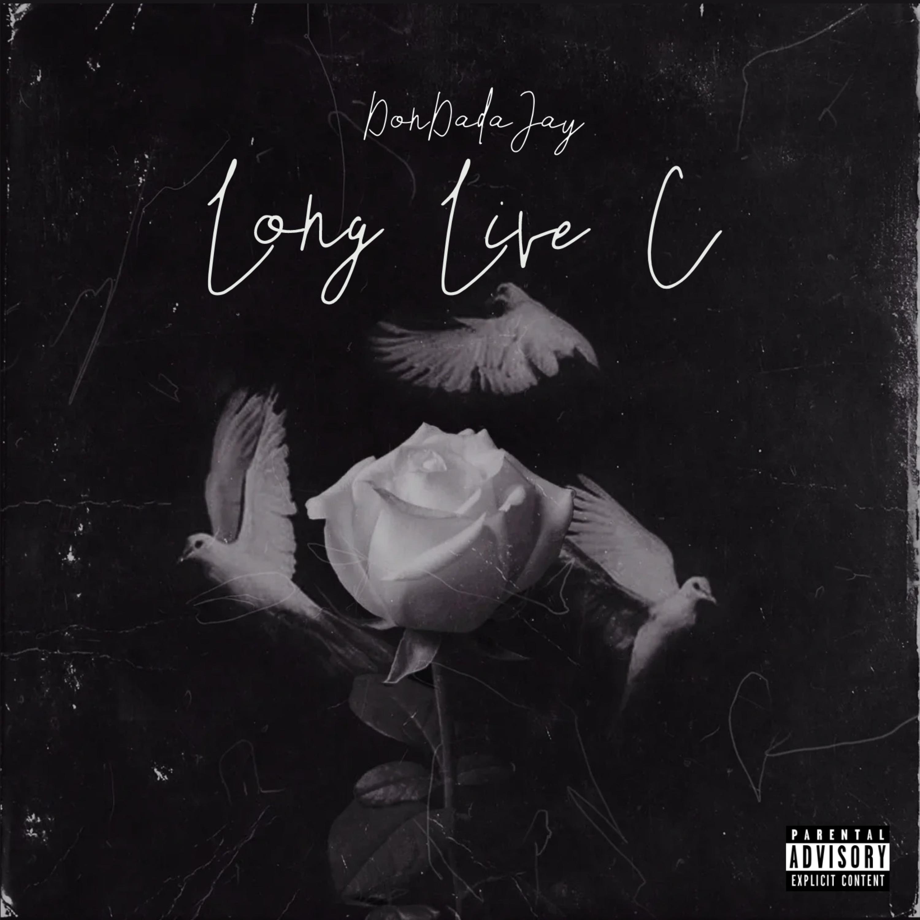 Long Live C artwork