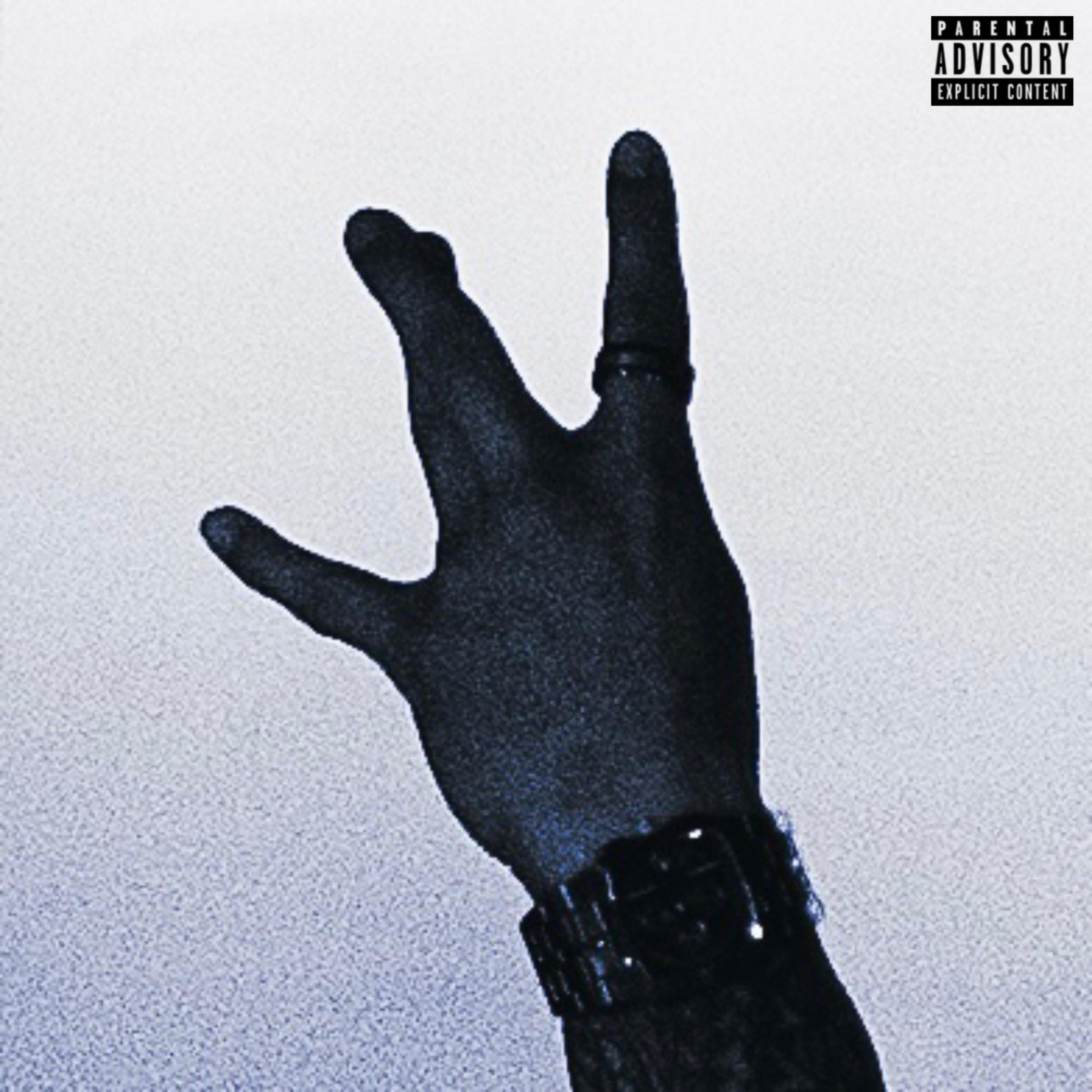 PROJECT WEST COAST by D. Sean cover art