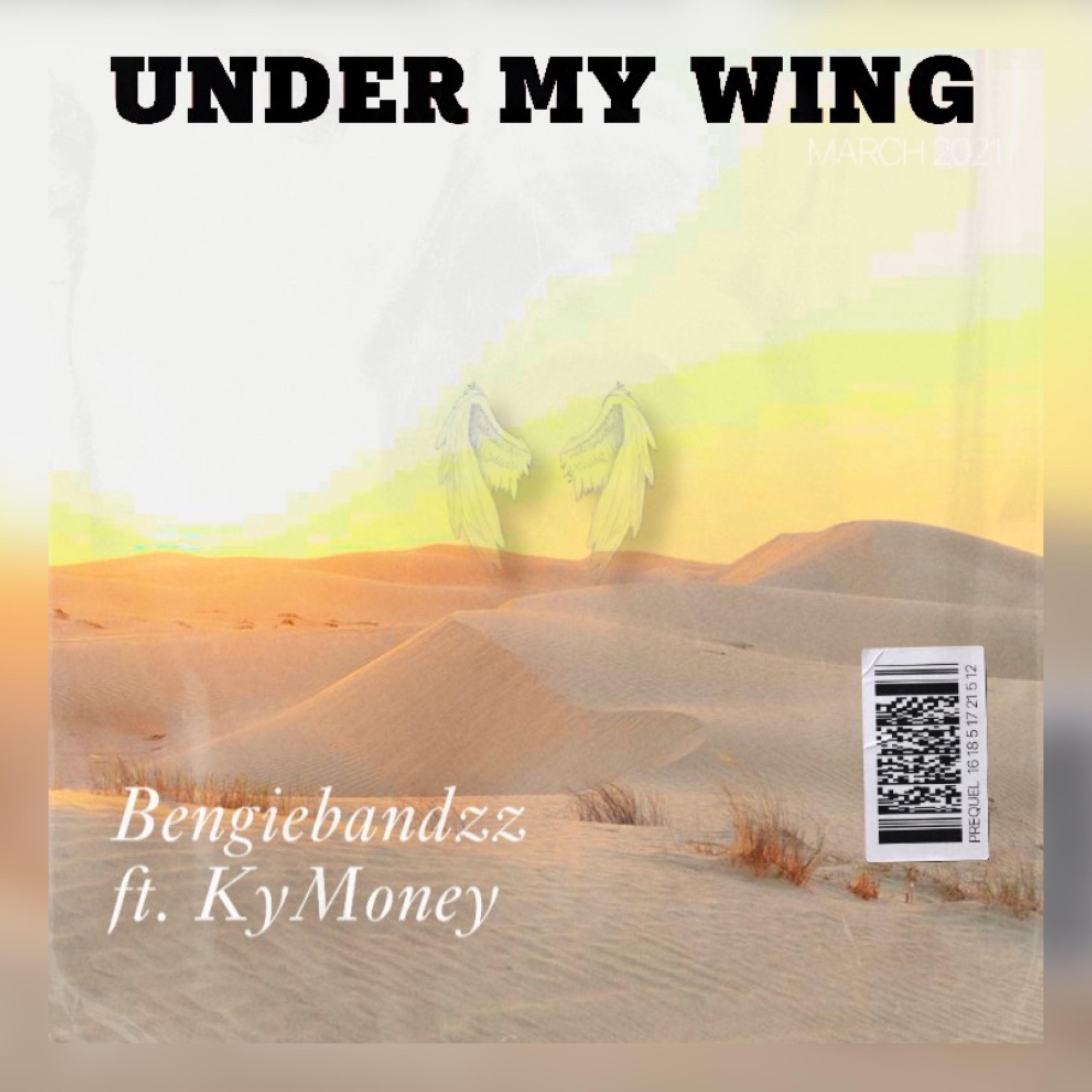 Under My Wing by Bengiebandzz cover art