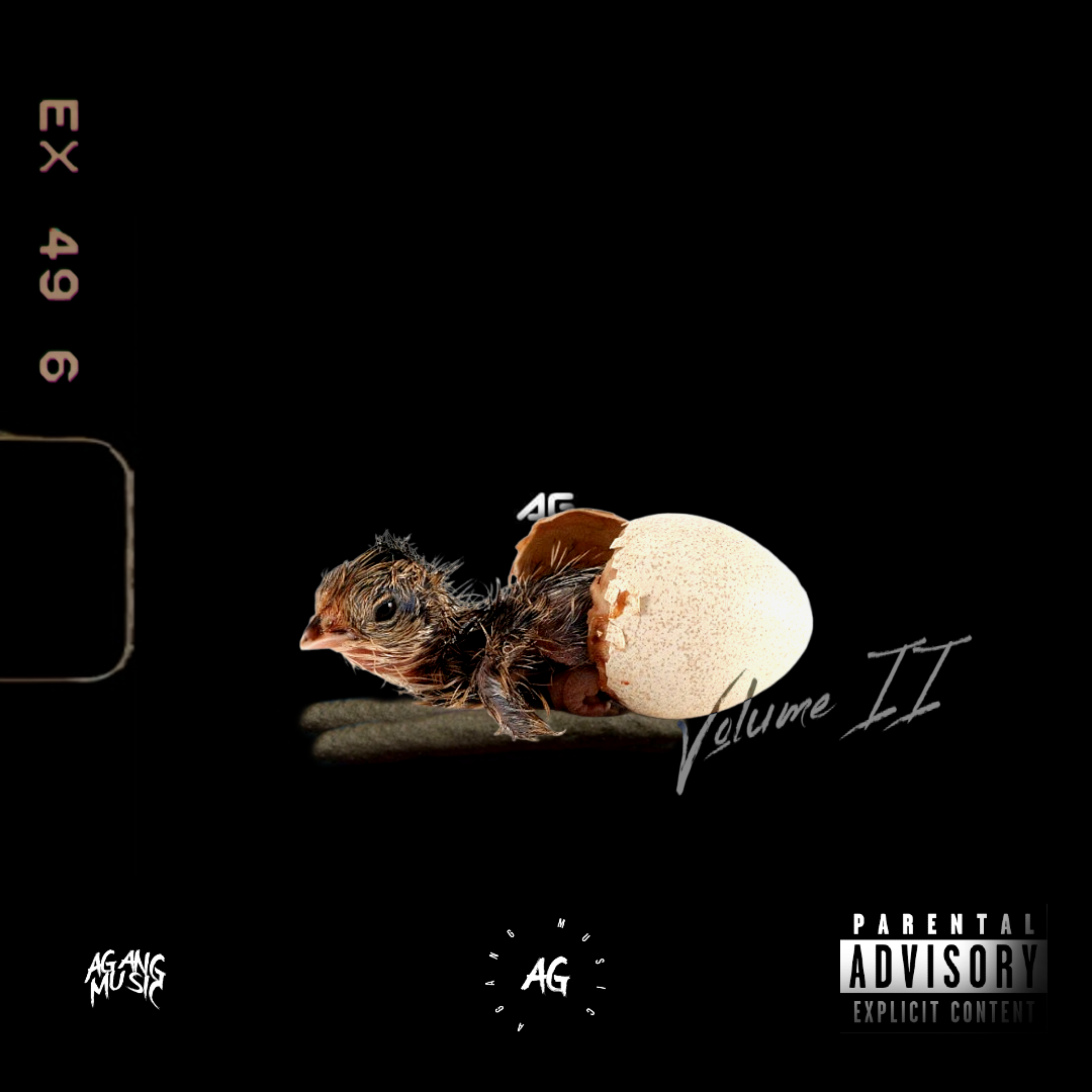 The Biggest Bird II artwork