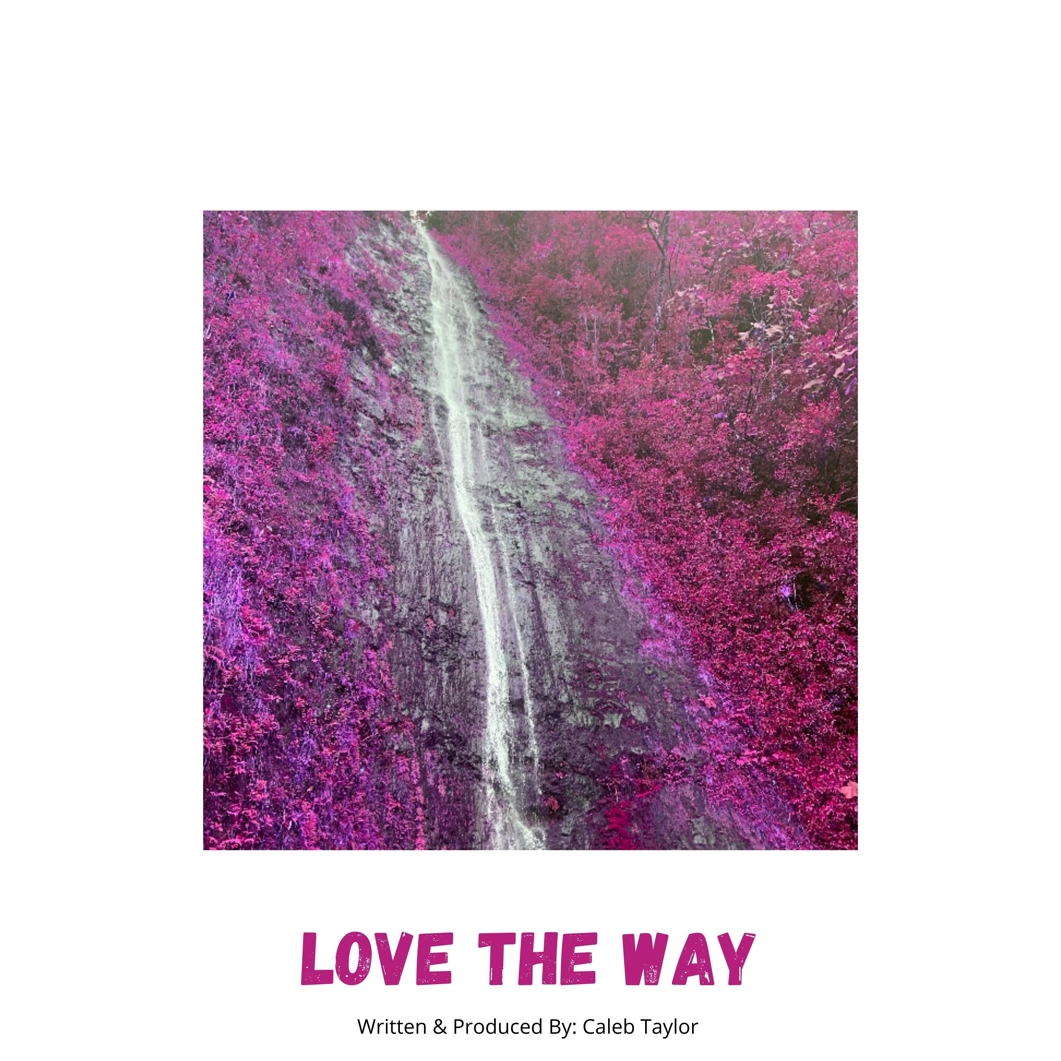 Love The Way artwork