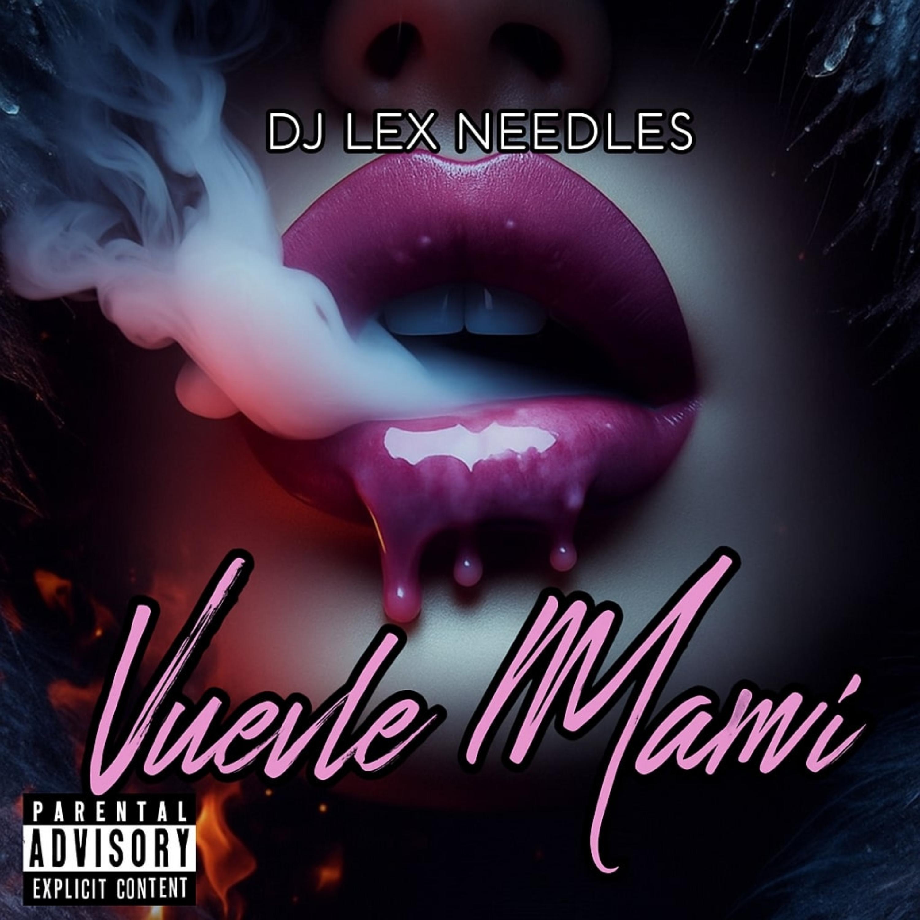 Vuelve Mami by DJ Lex Needles cover art