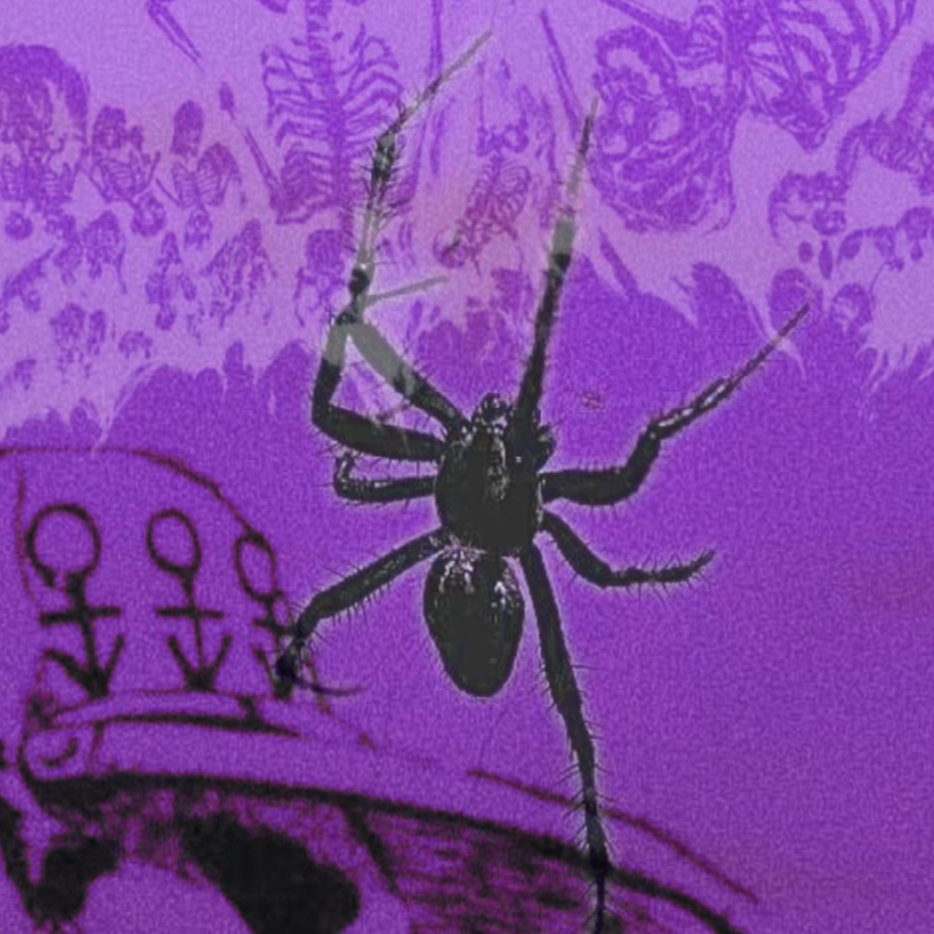 IM BACK NO SPINE artwork