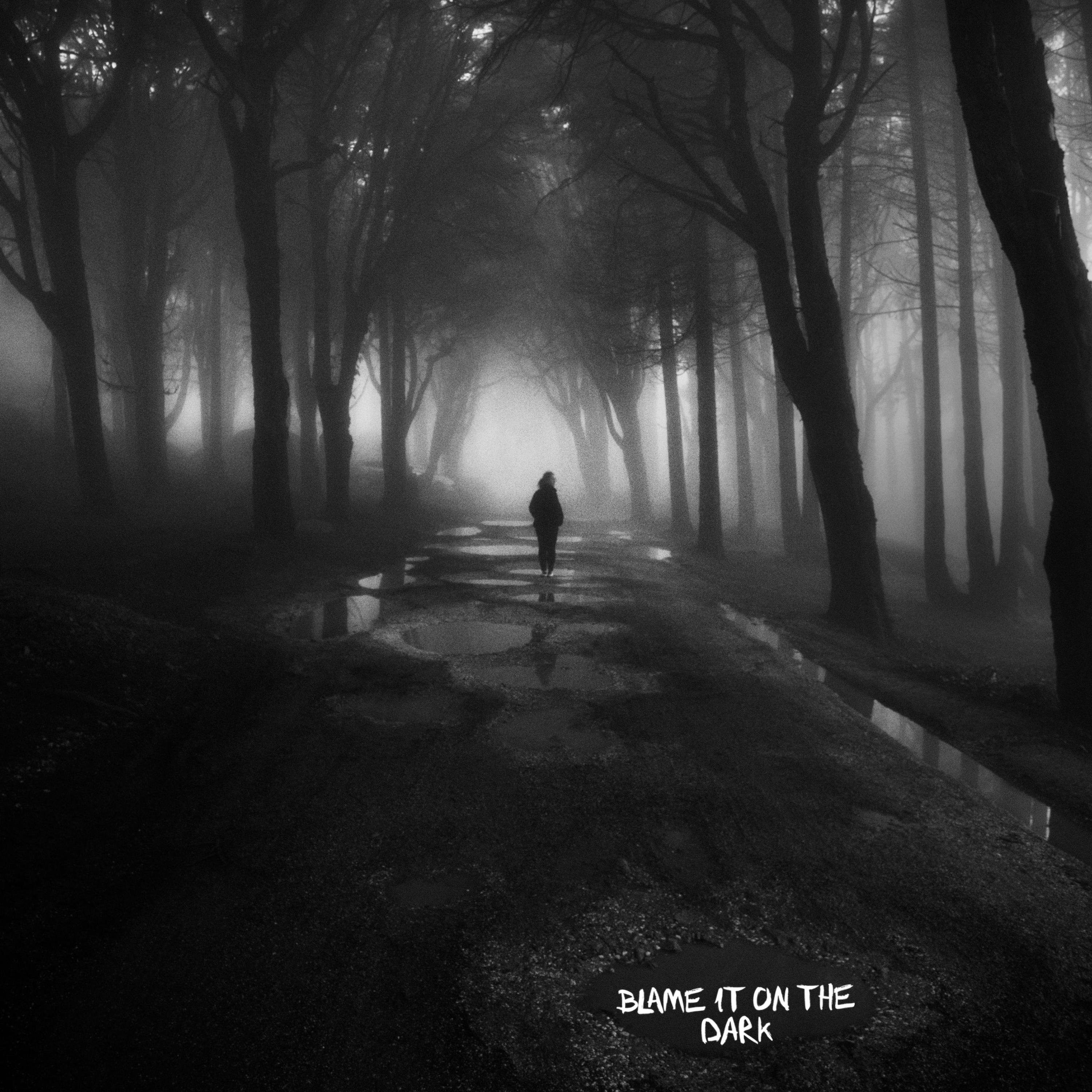 Blame It On The Dark artwork