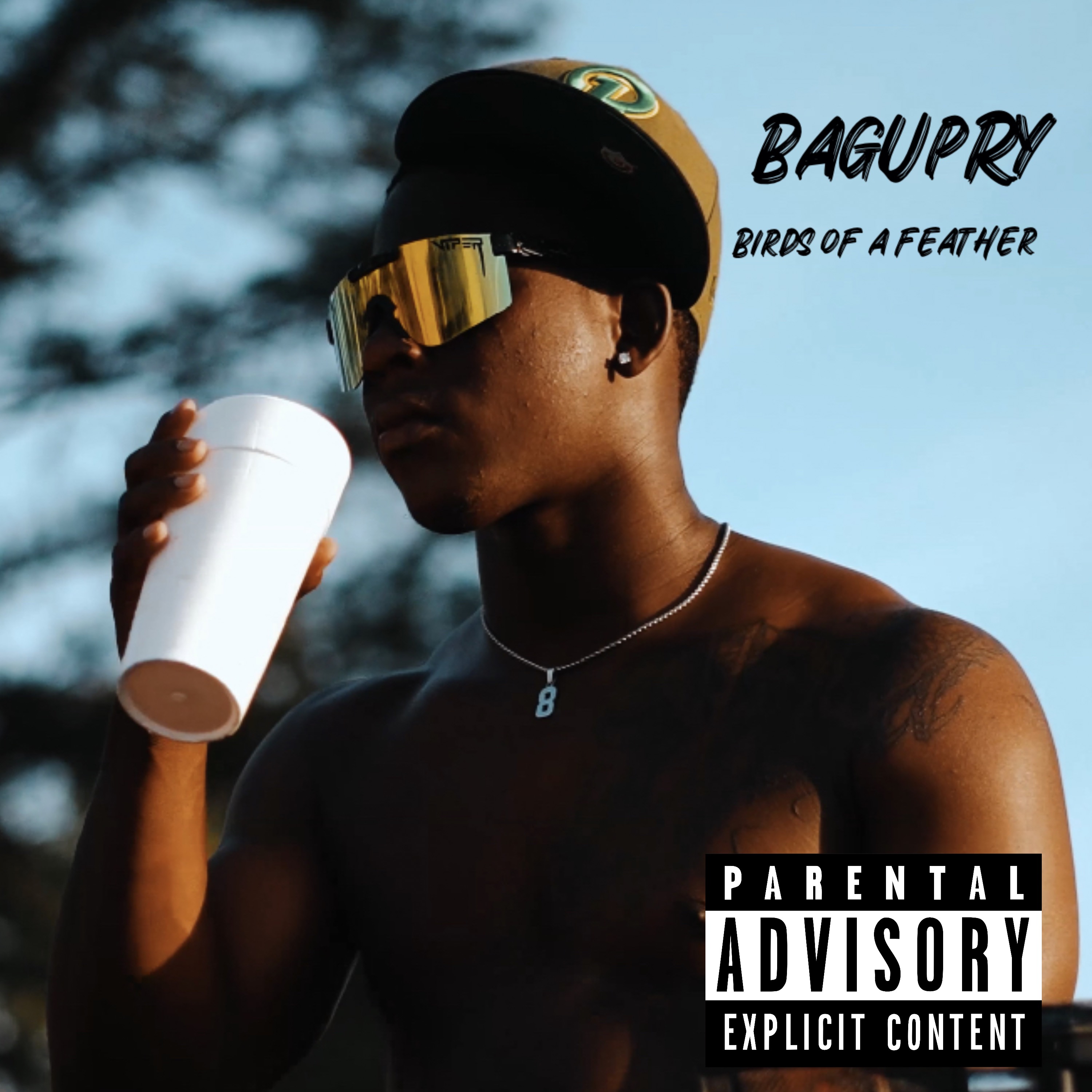 Birds of a Feather artwork