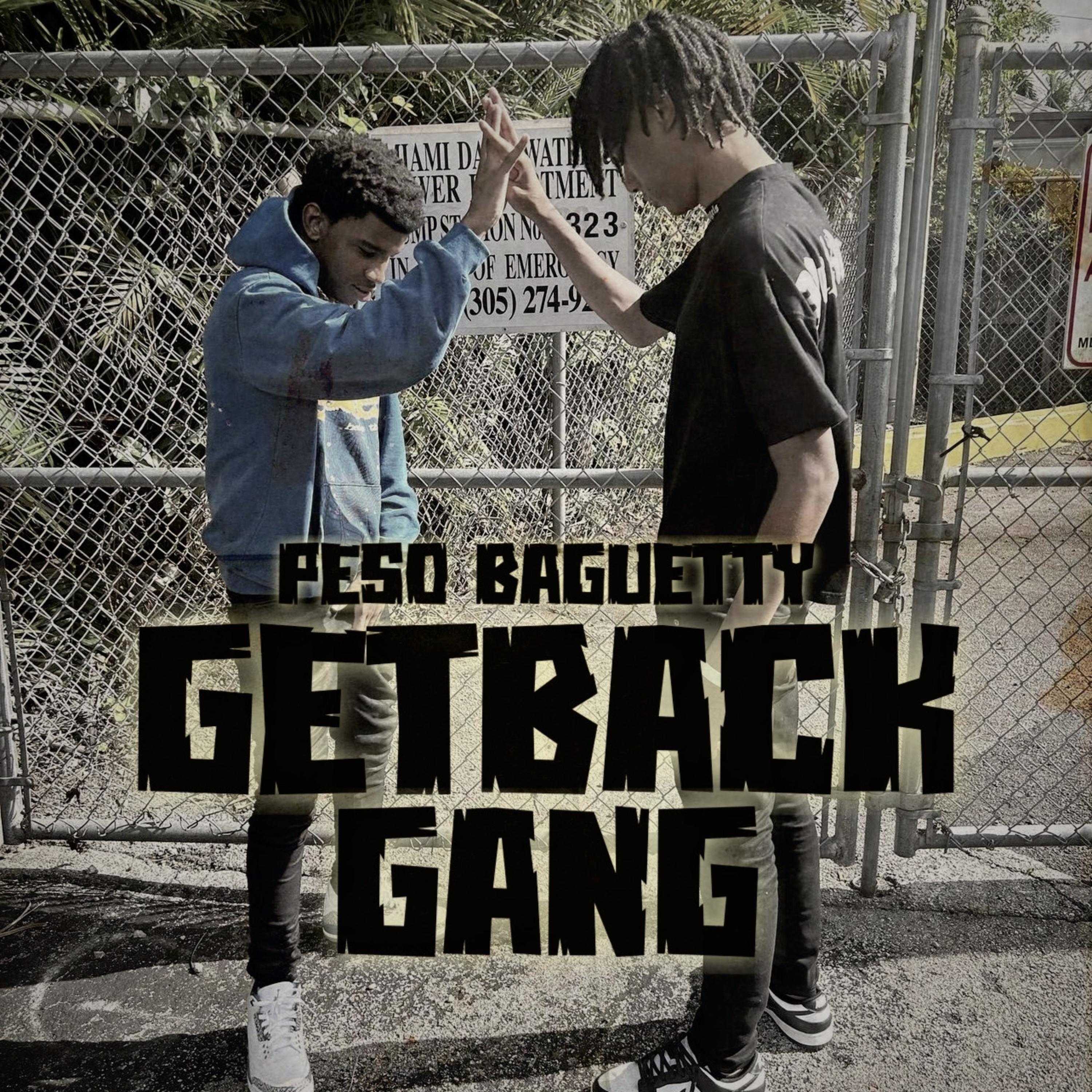 GETBACK GANG artwork