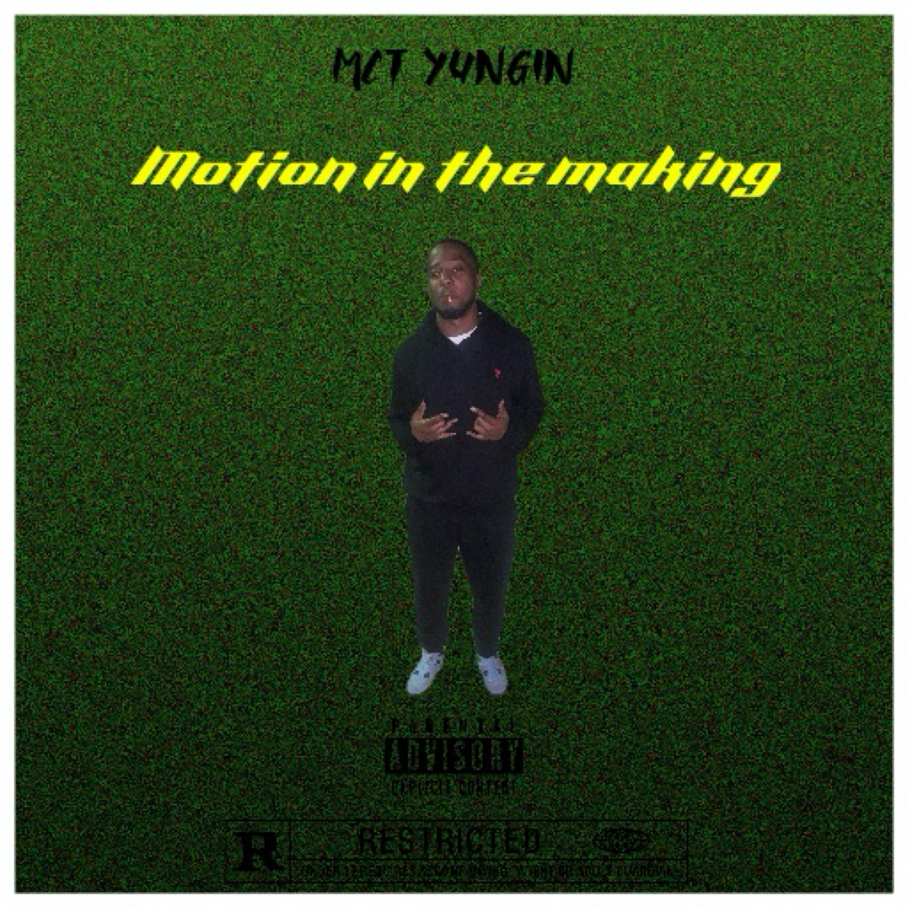 Motion In The Making artwork