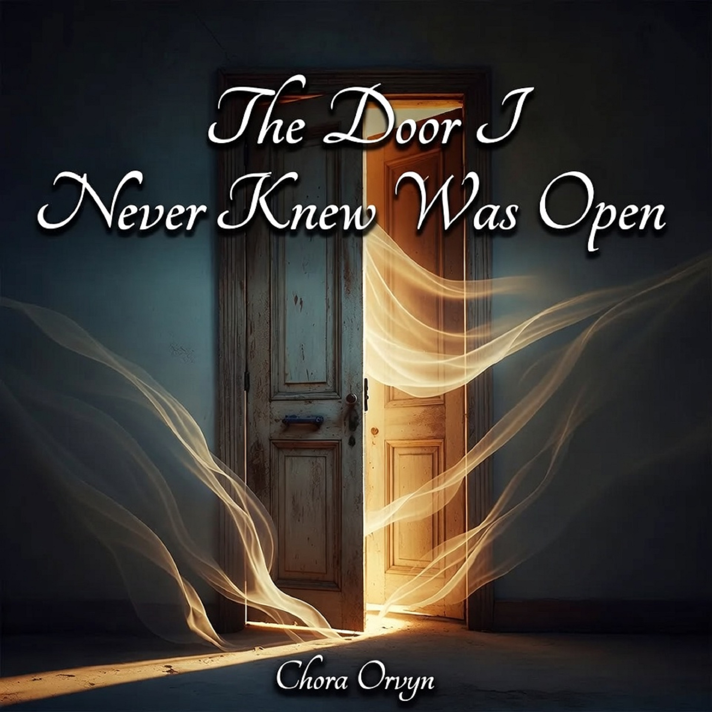 The Door I Never Knew Was Open artwork