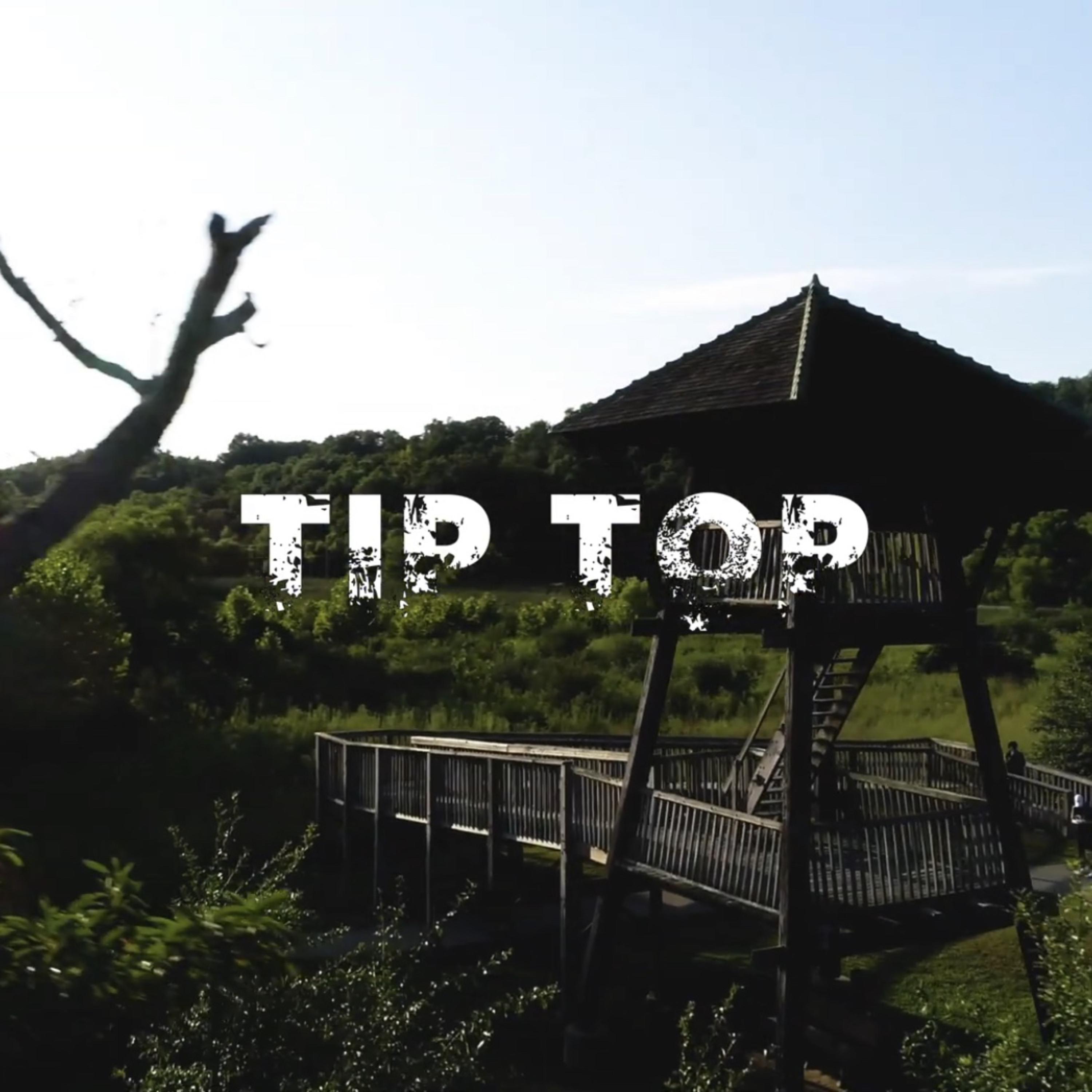 Tip Top artwork