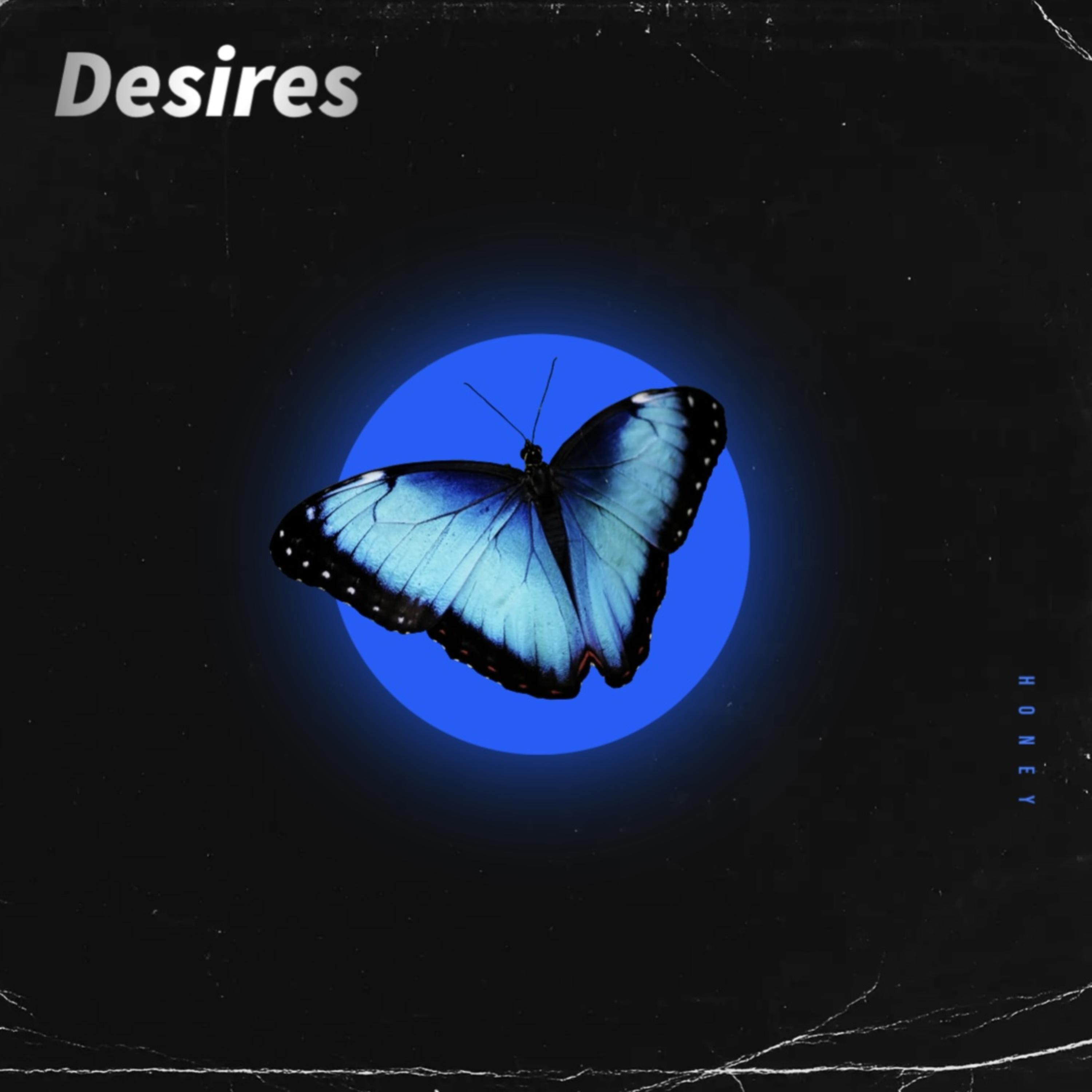 desires.. artwork