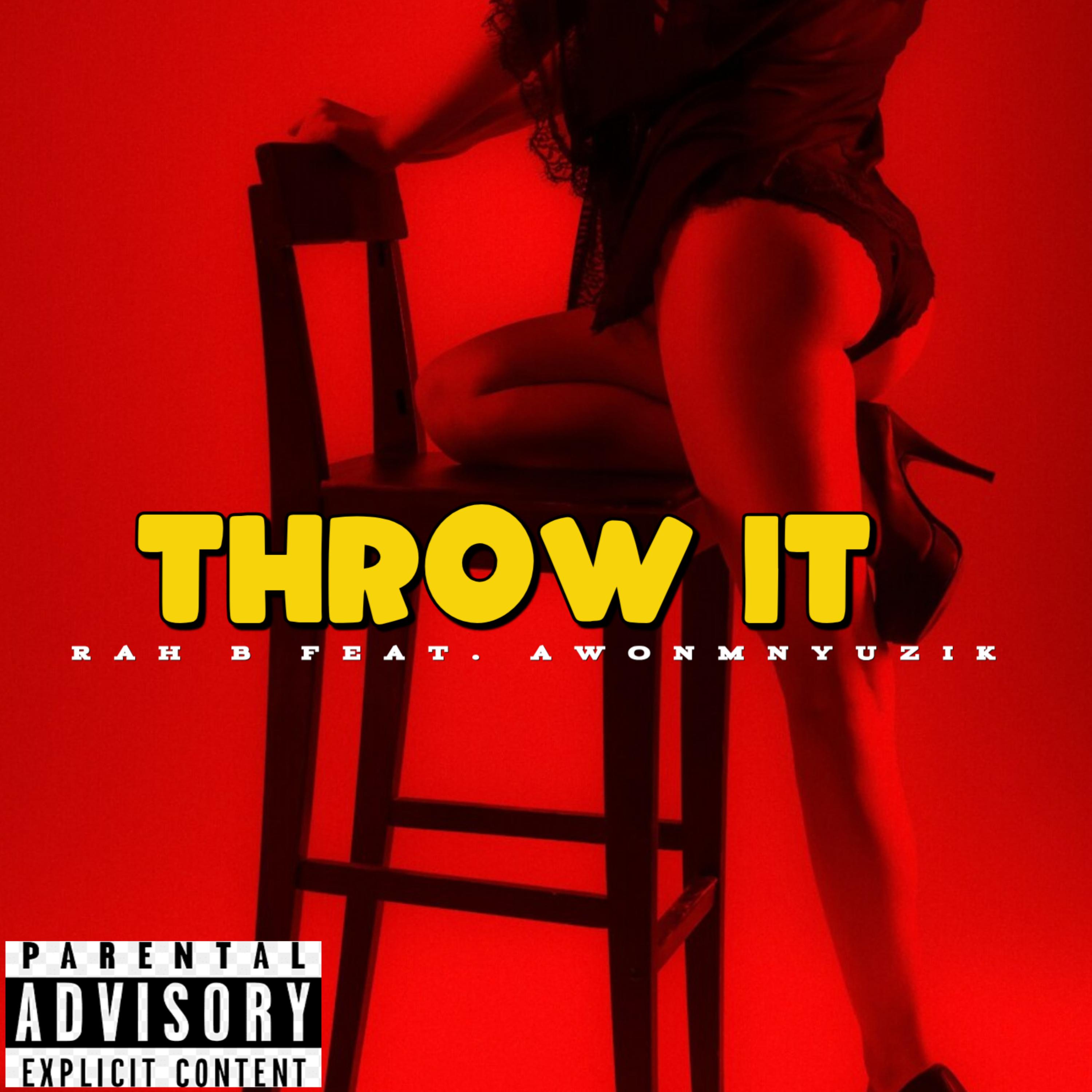THROW IT artwork
