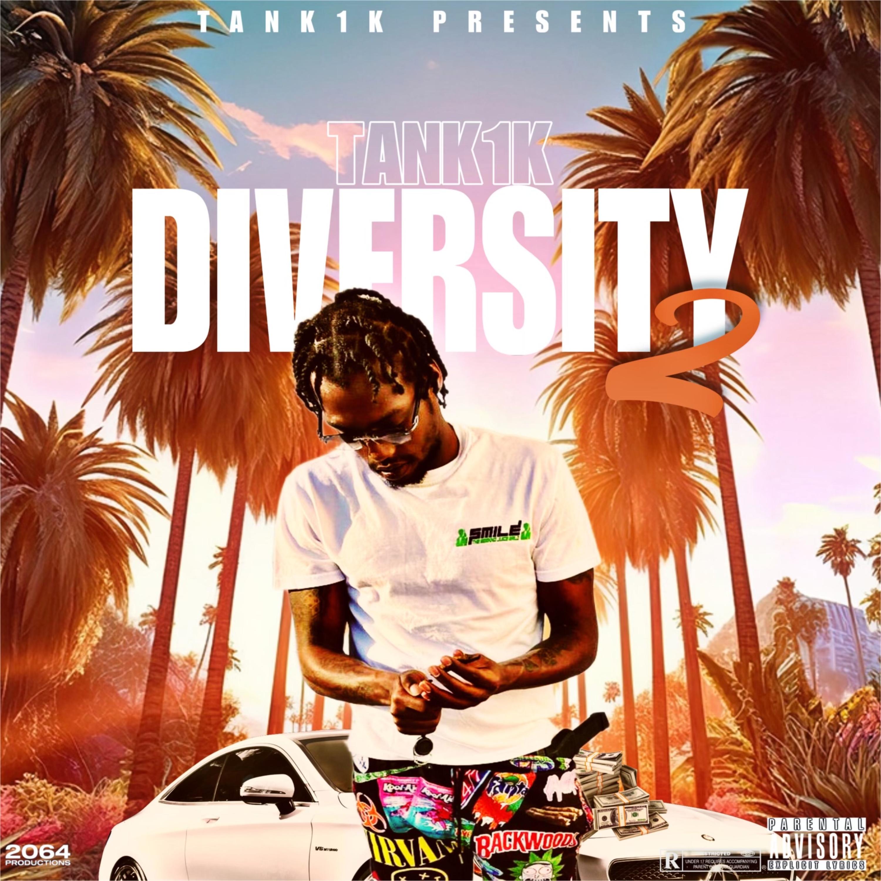 Diversity 2 artwork