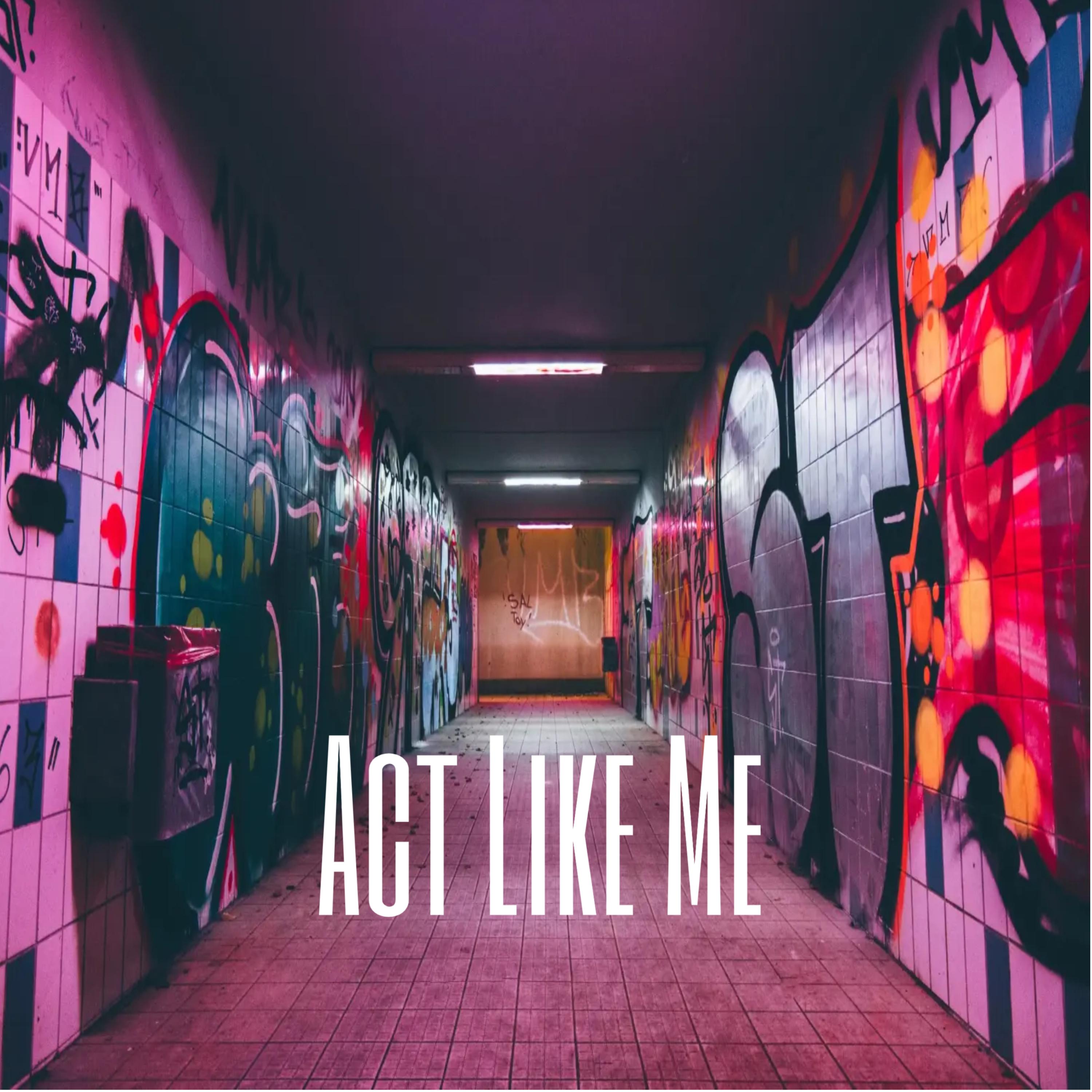 Act Like Me artwork