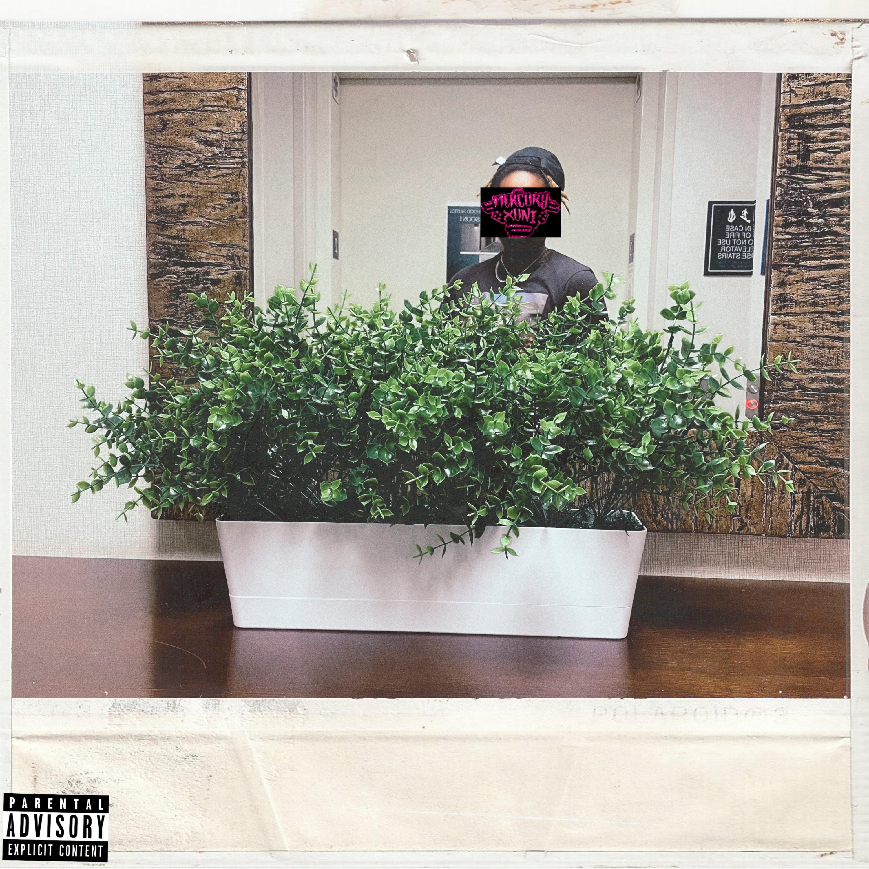 Live It Up artwork